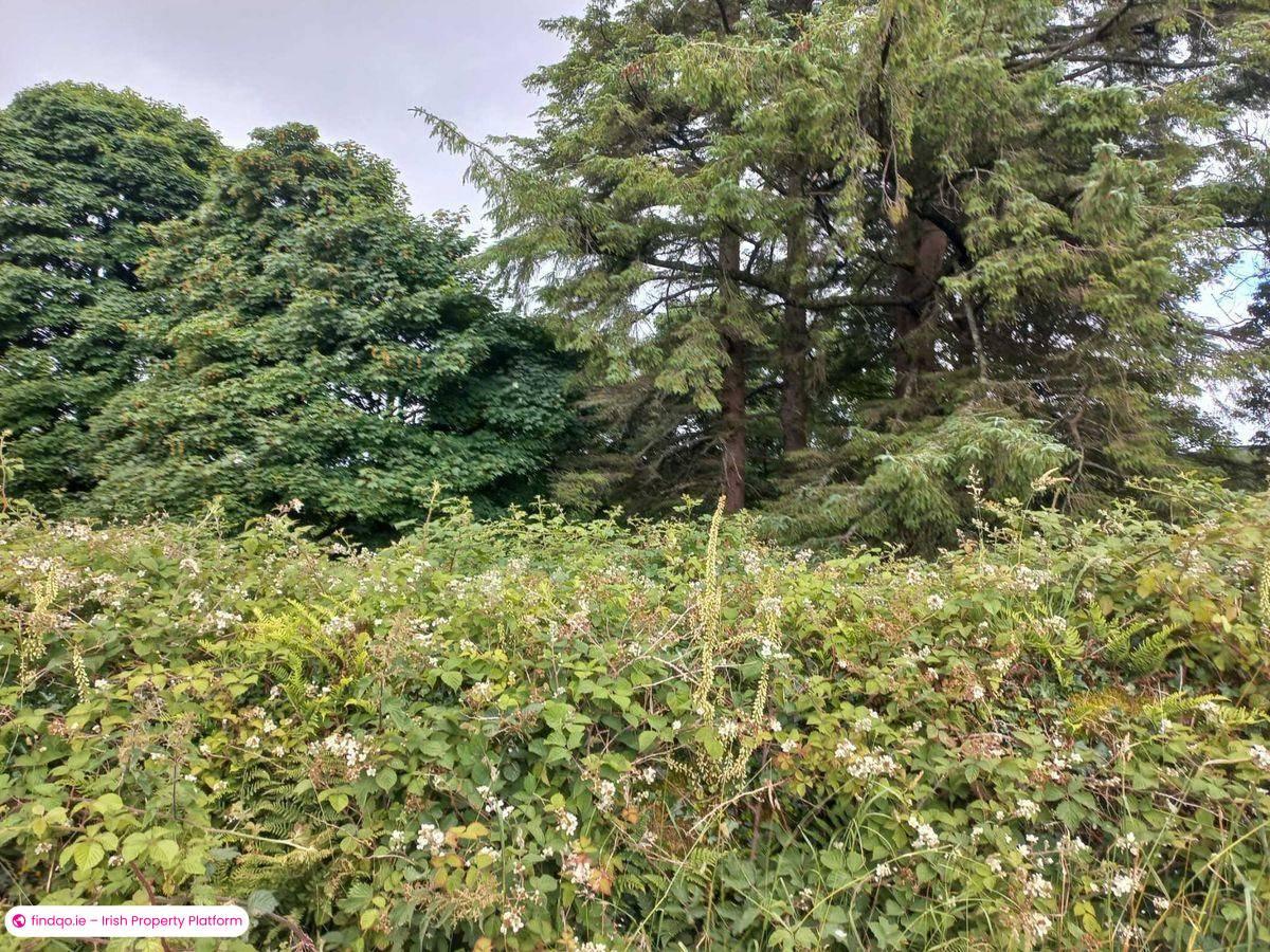 Agricultural Land for Sale in Kiltimagh, Mayo