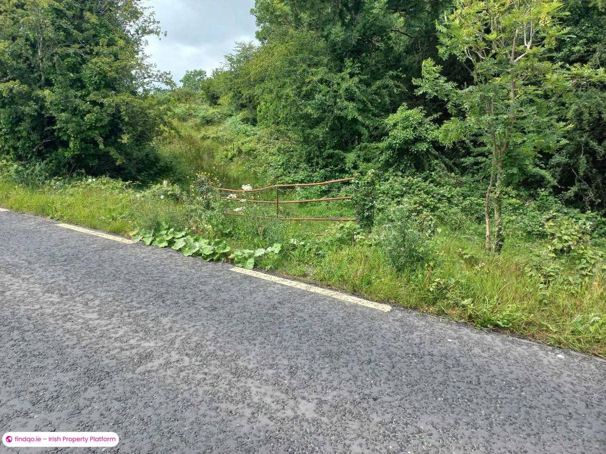 Agricultural Land for Sale in Kiltimagh, Mayo