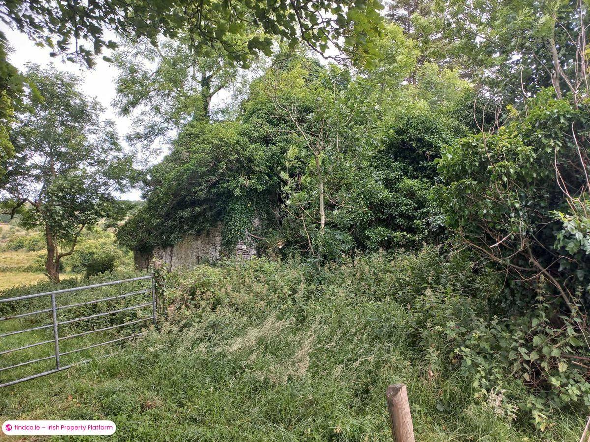 Agricultural Land for Sale in Kiltimagh, Mayo