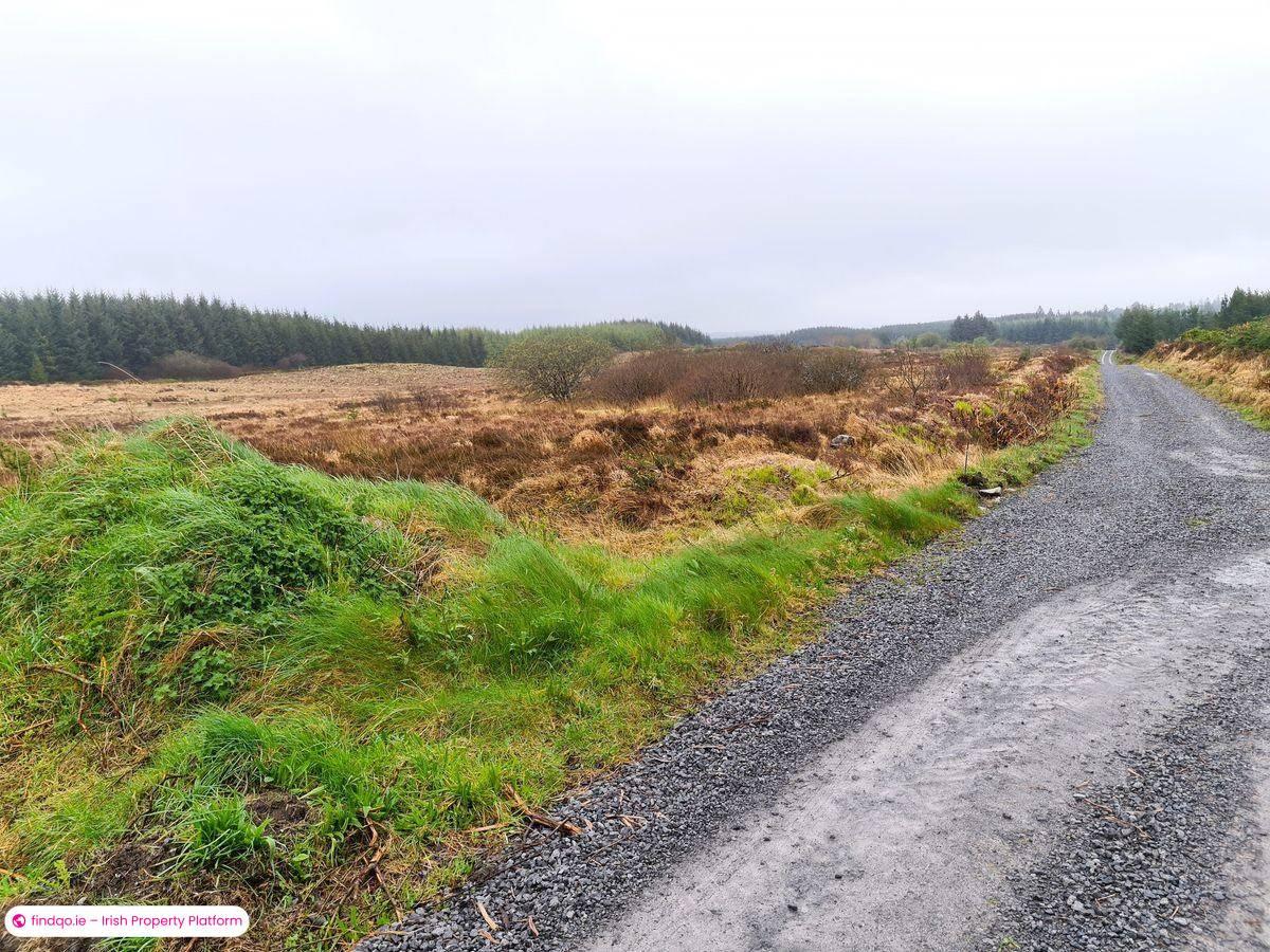 Agricultural Land for Sale in Kilkelly, Mayo