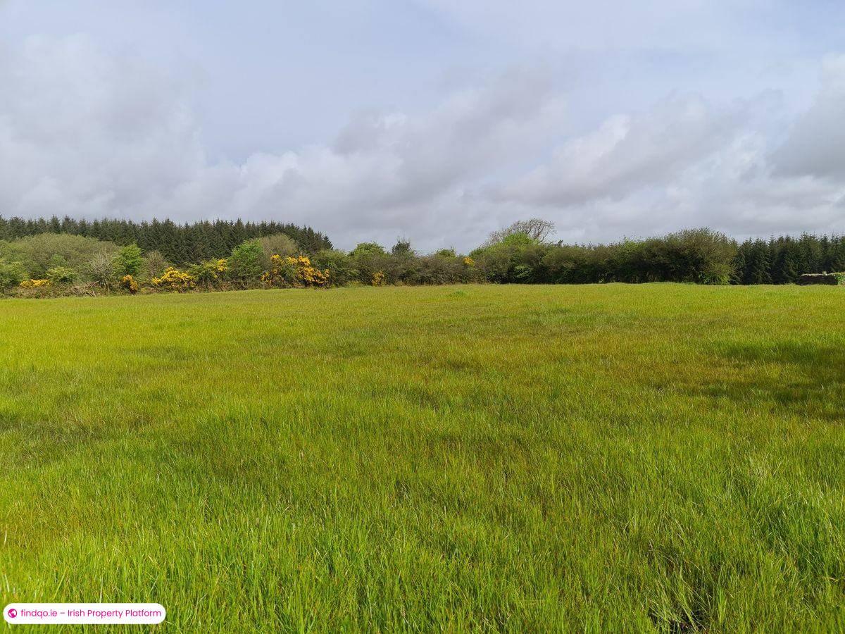 Agricultural Land for Sale in Kilkelly, Mayo