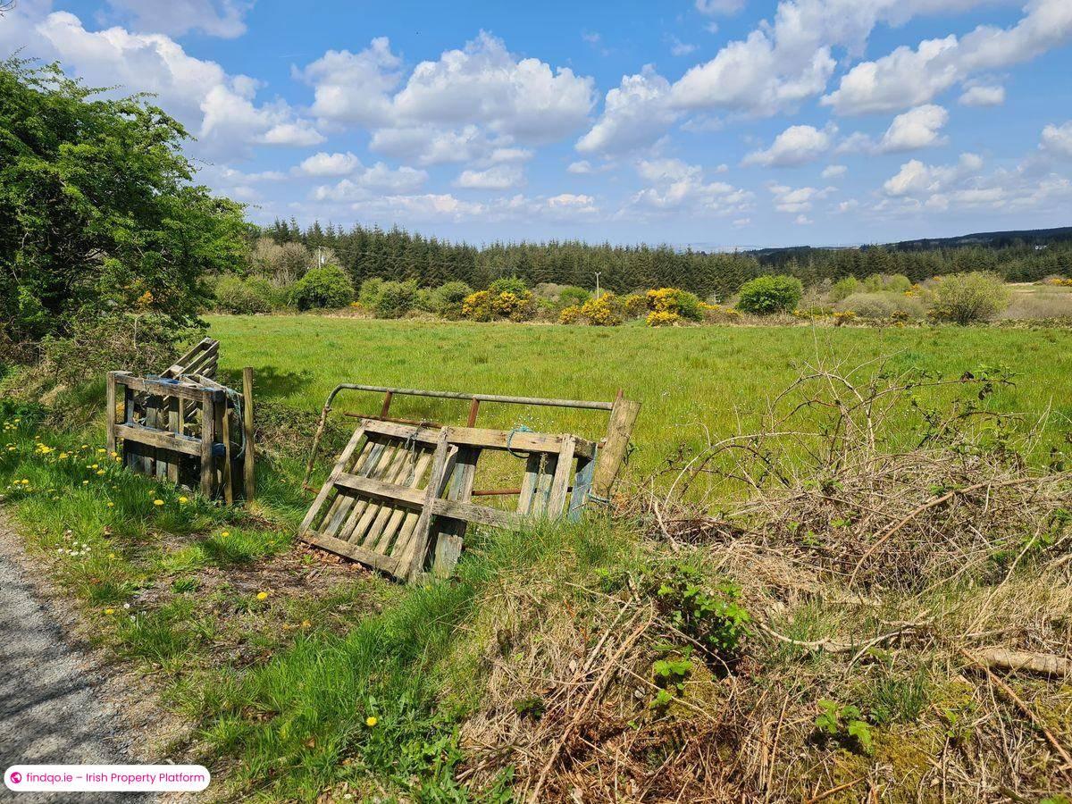 Agricultural Land for Sale in Charlestown, Mayo