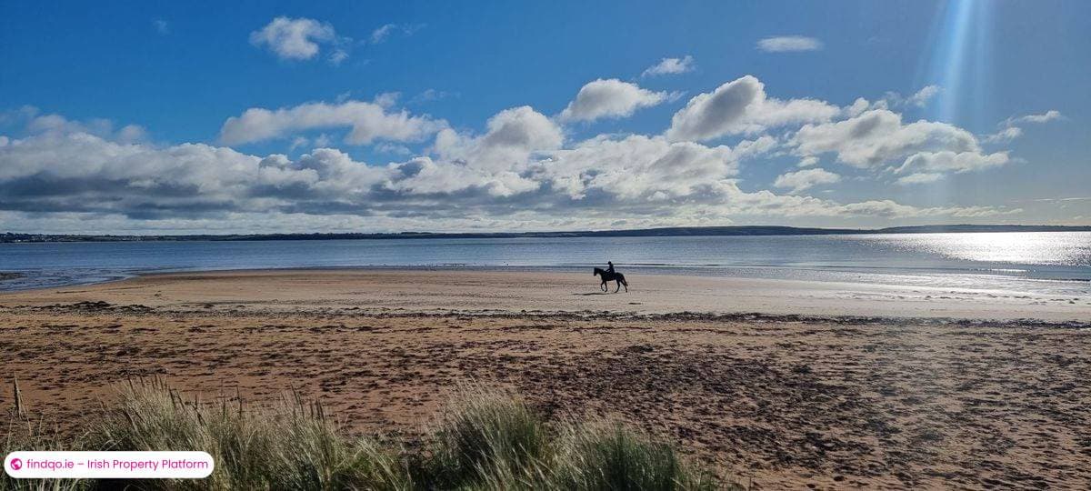 Detached house for Sale in Woodstown, Waterford