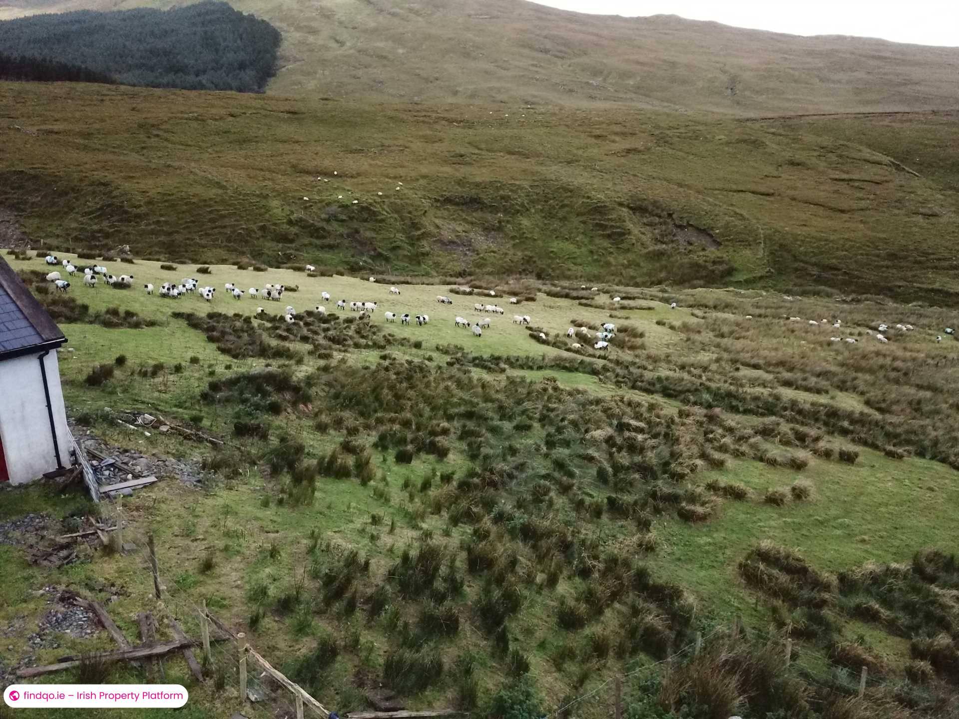 Agricultural Land for Sale in Renvyle, Galway