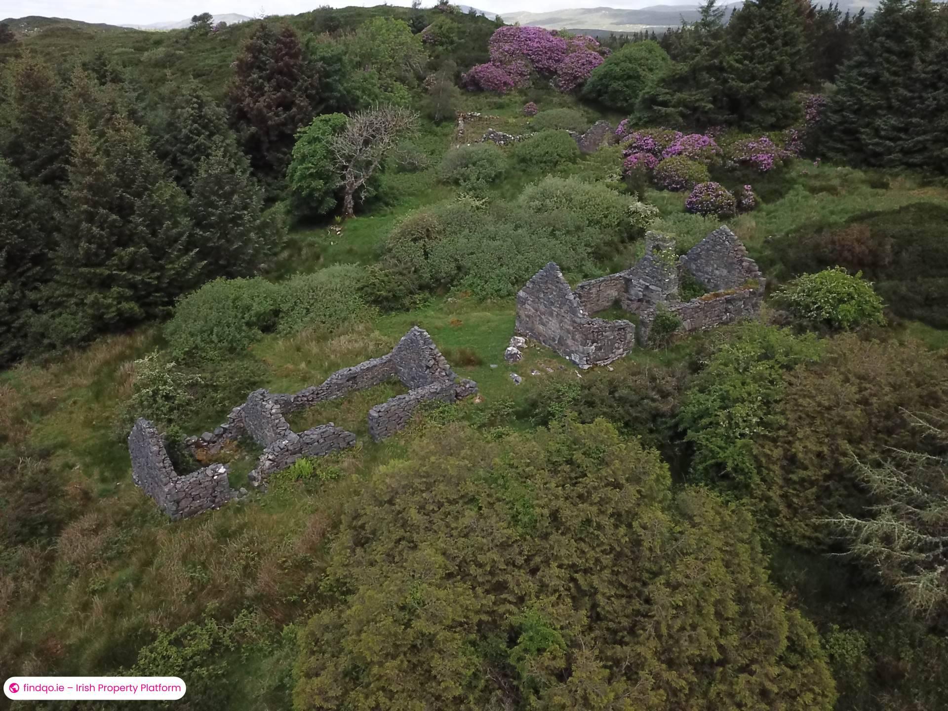 Agricultural Land for Sale in Ballynahinch, Down