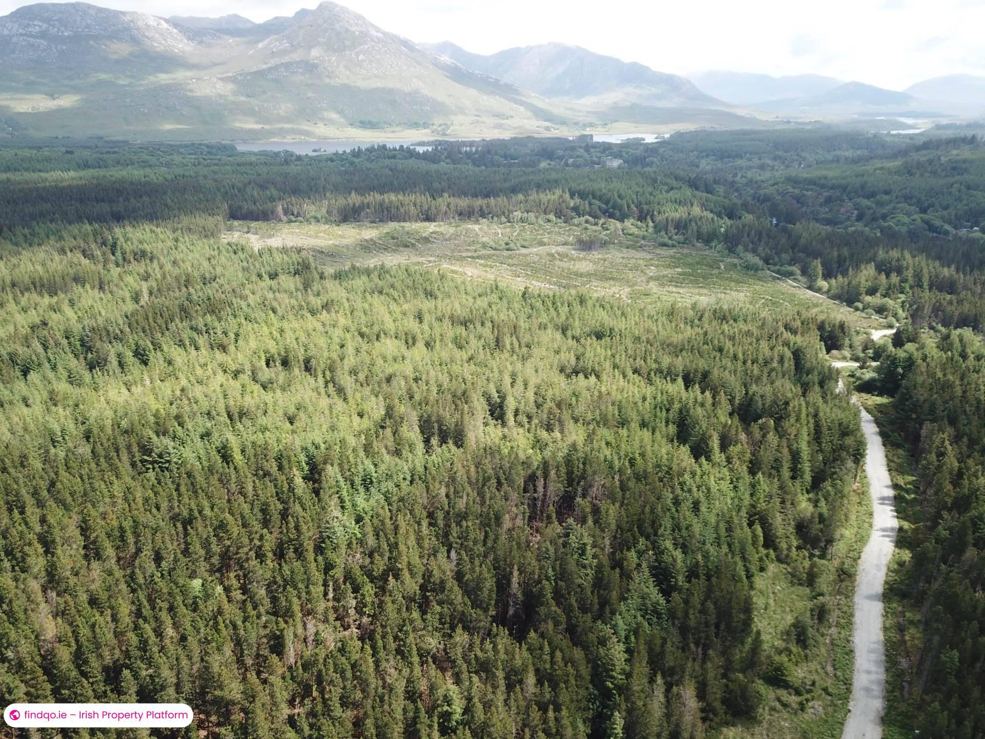 Agricultural Land for Sale in Ballynahinch, Down