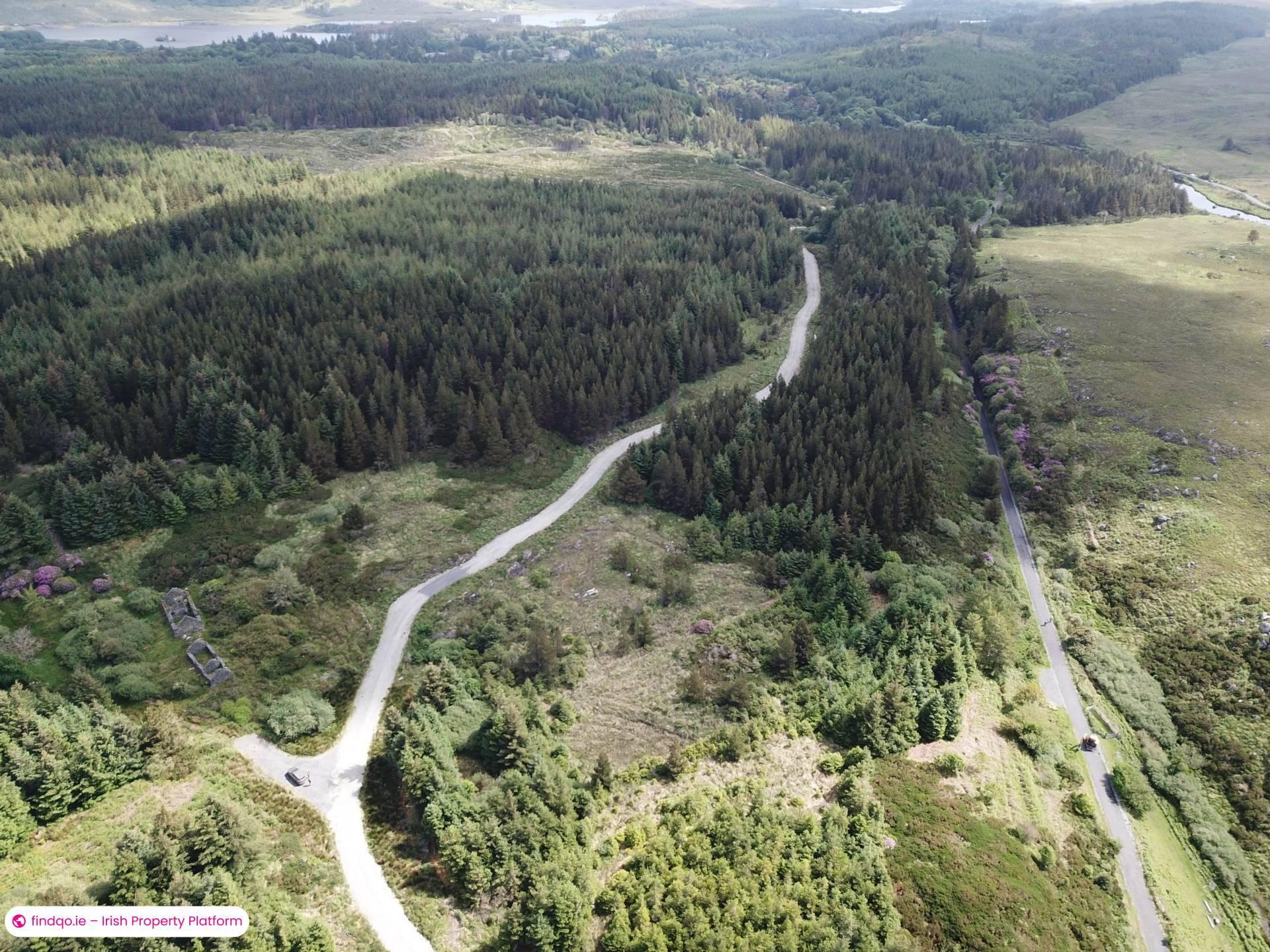 Agricultural Land for Sale in Ballynahinch, Down