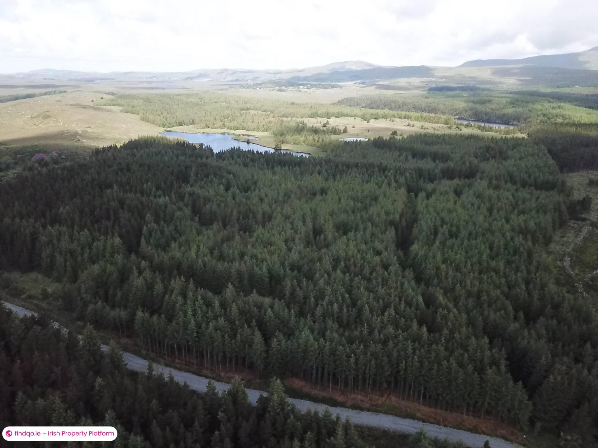 Agricultural Land for Sale in Ballynahinch, Down