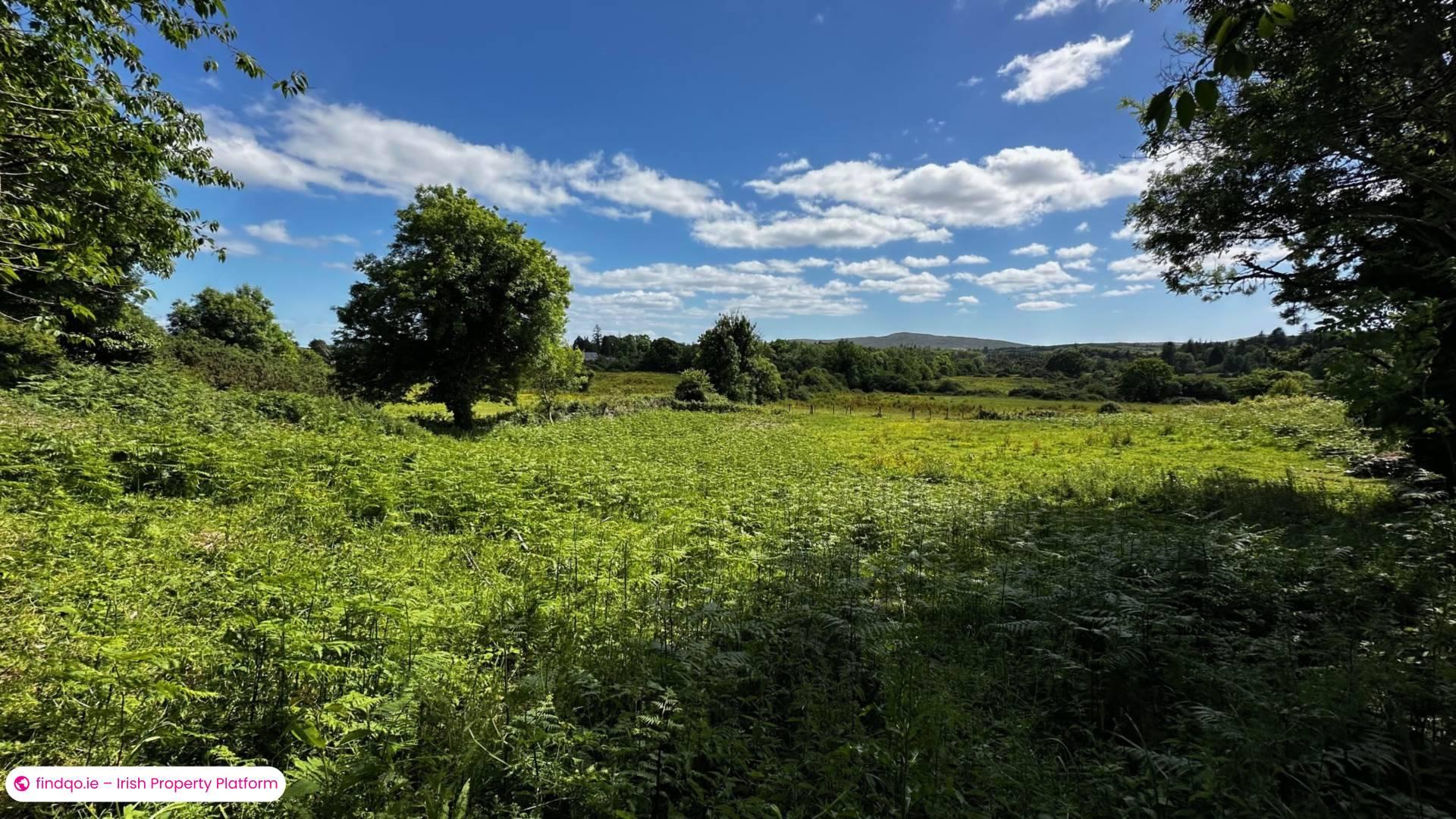 Detached house for Sale in Rosscahill, Galway, H91 X9CR