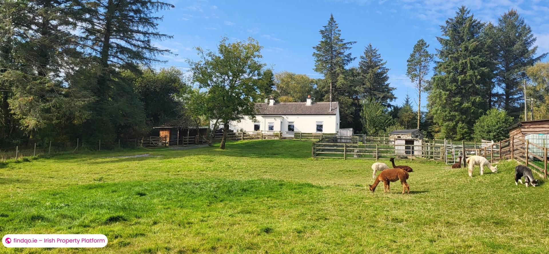 Detached house for Sale in Oughterard, Galway