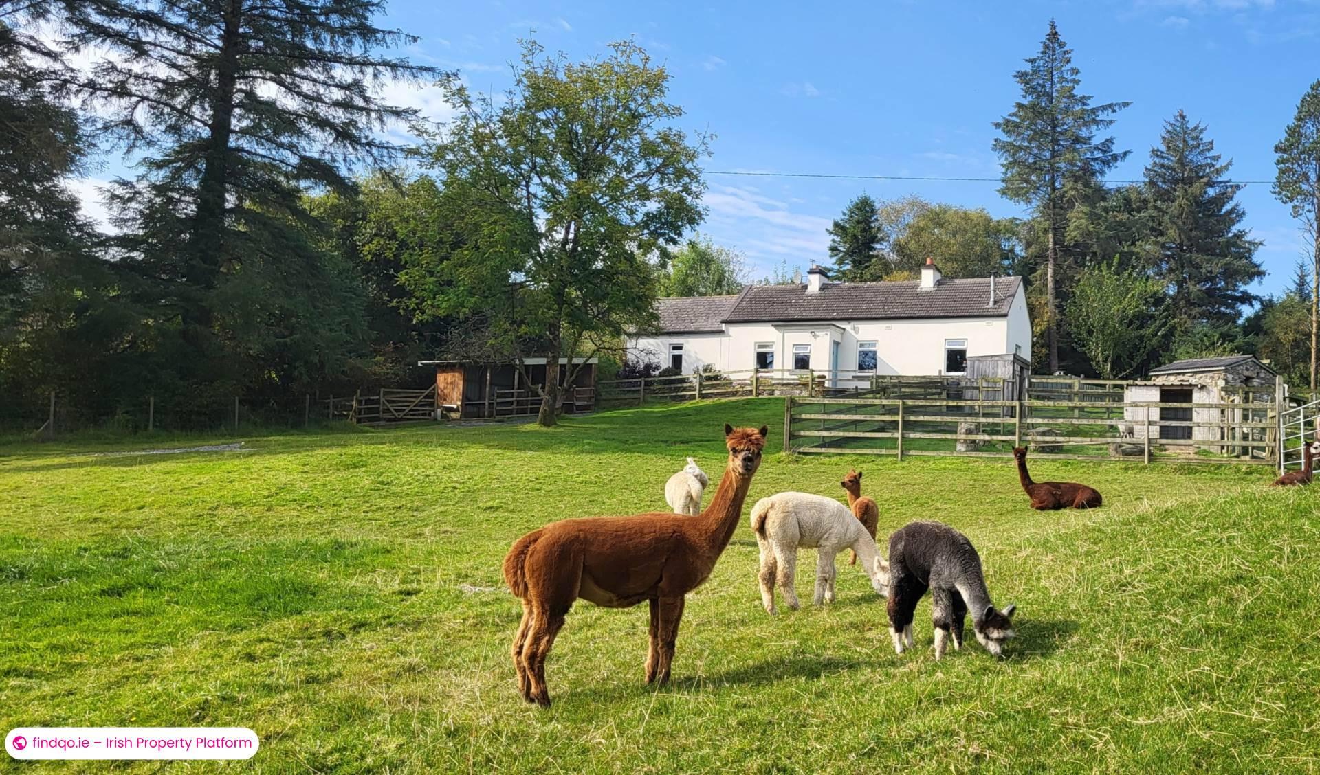 Detached house for Sale in Oughterard, Galway