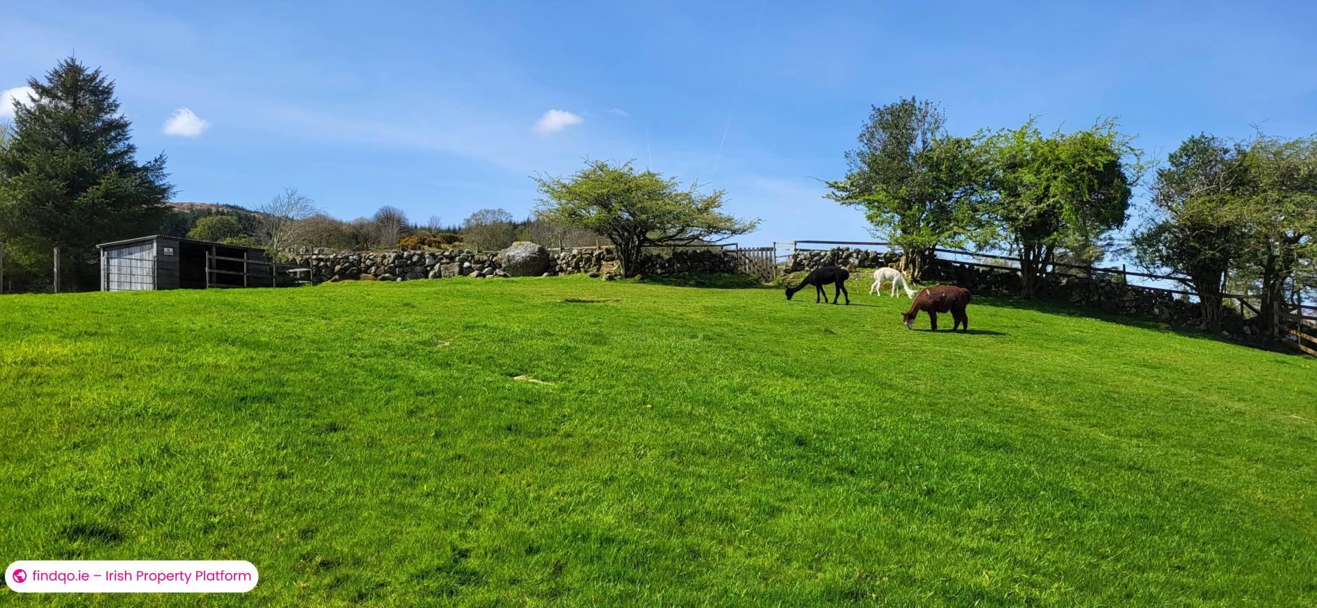 Detached house for Sale in Oughterard, Galway