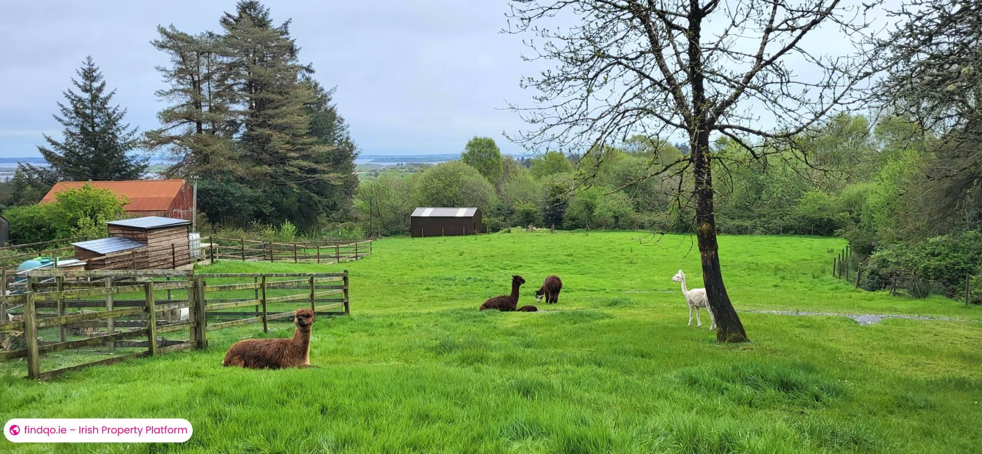 Detached house for Sale in Oughterard, Galway