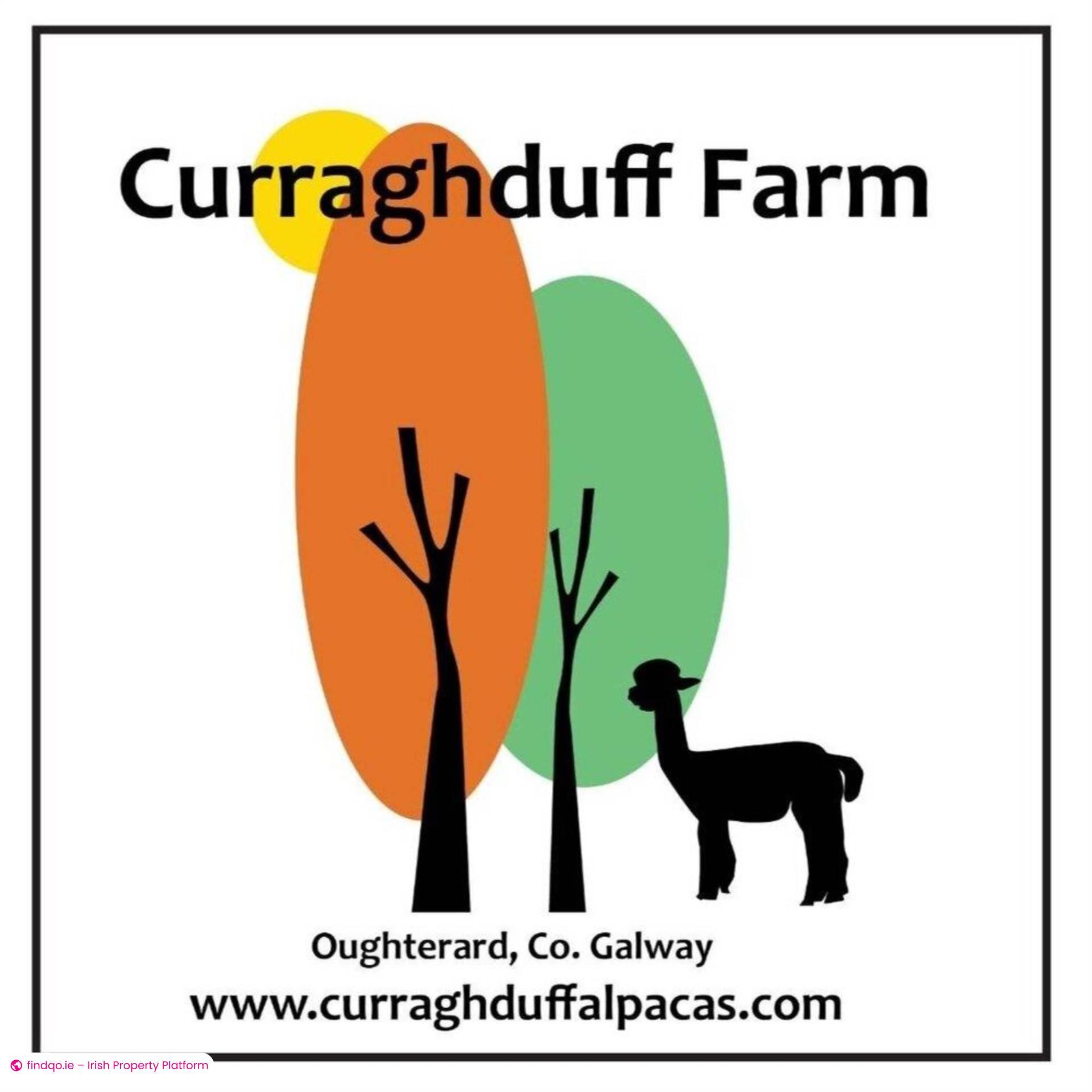 Detached house for Sale in Oughterard, Galway