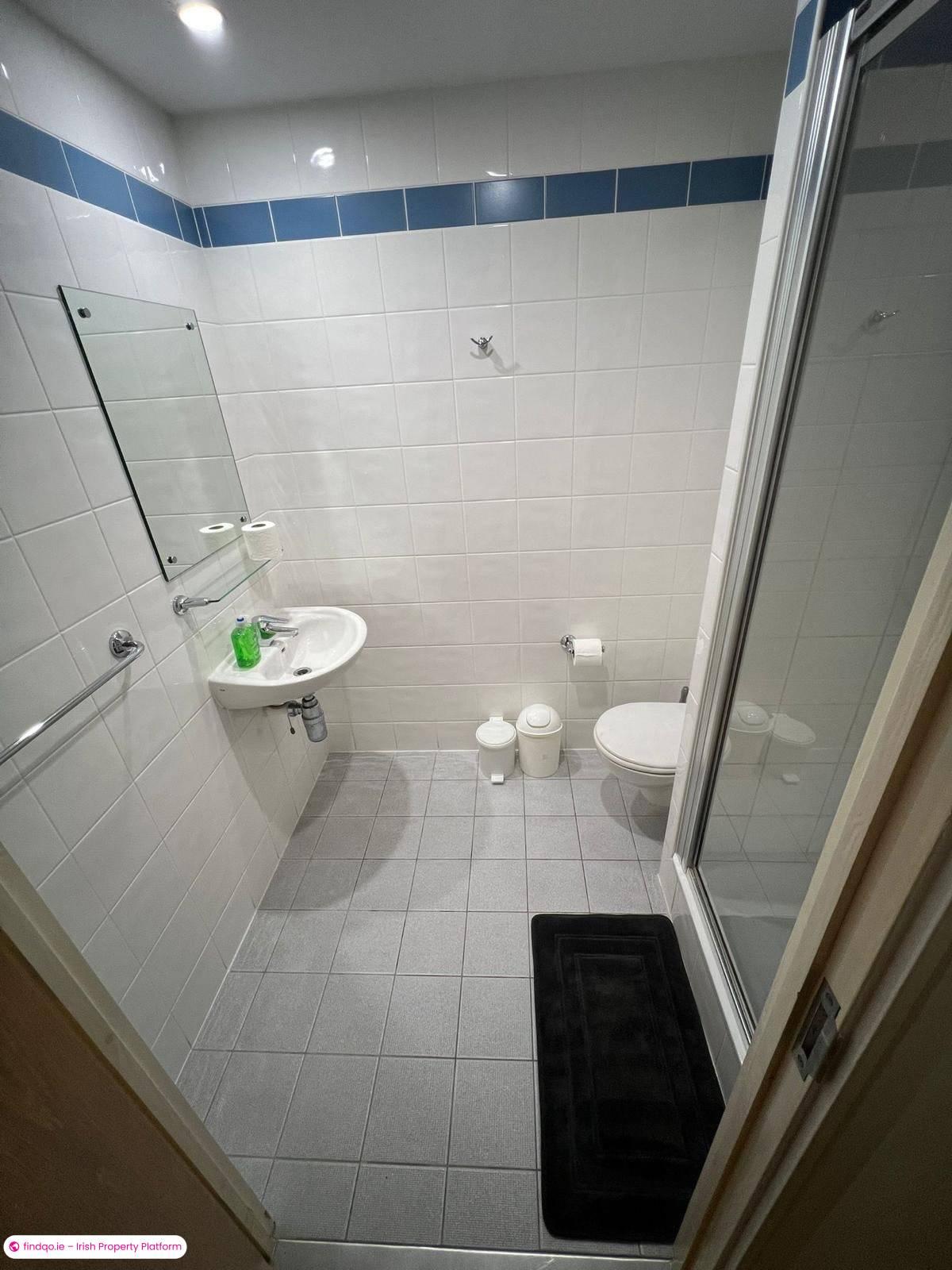 1 Bedroom Apartment for Sharing in Castletroy, Limerick, V94 DE08