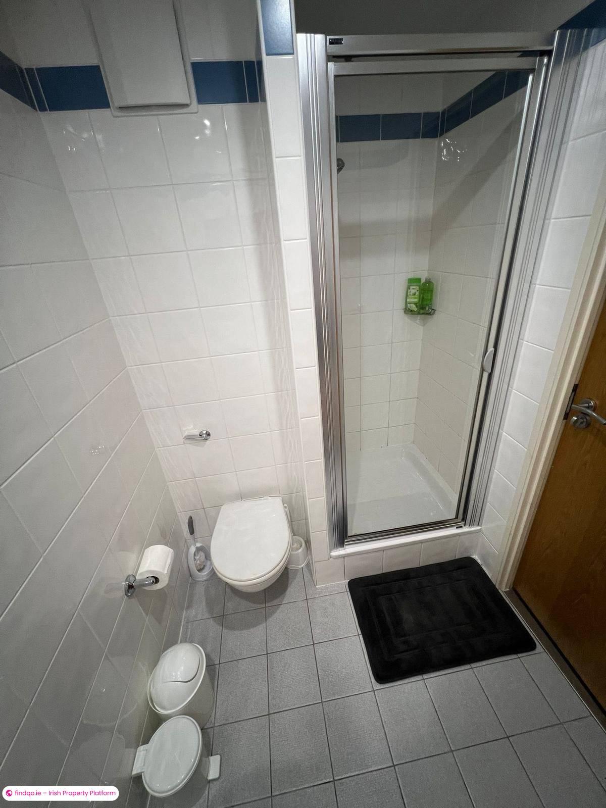 1 Bedroom Apartment for Sharing in Castletroy, Limerick, V94 DE08
