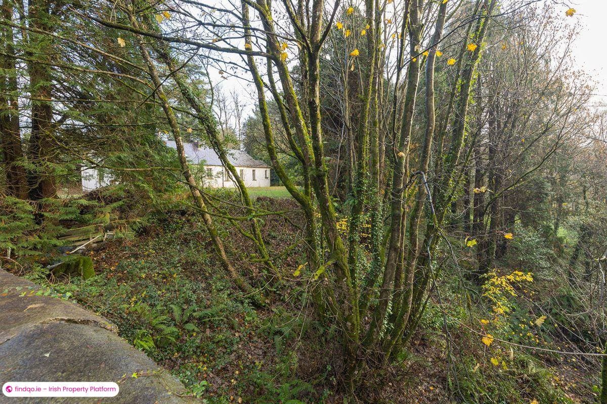 Detached house for Sale in Midleton, Cork