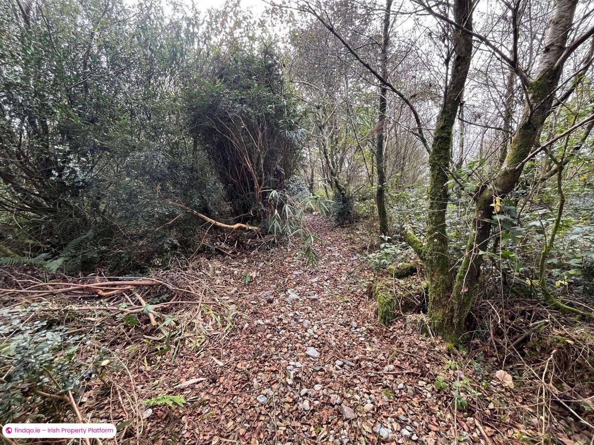 Detached house for Sale in Drimoleague, Cork