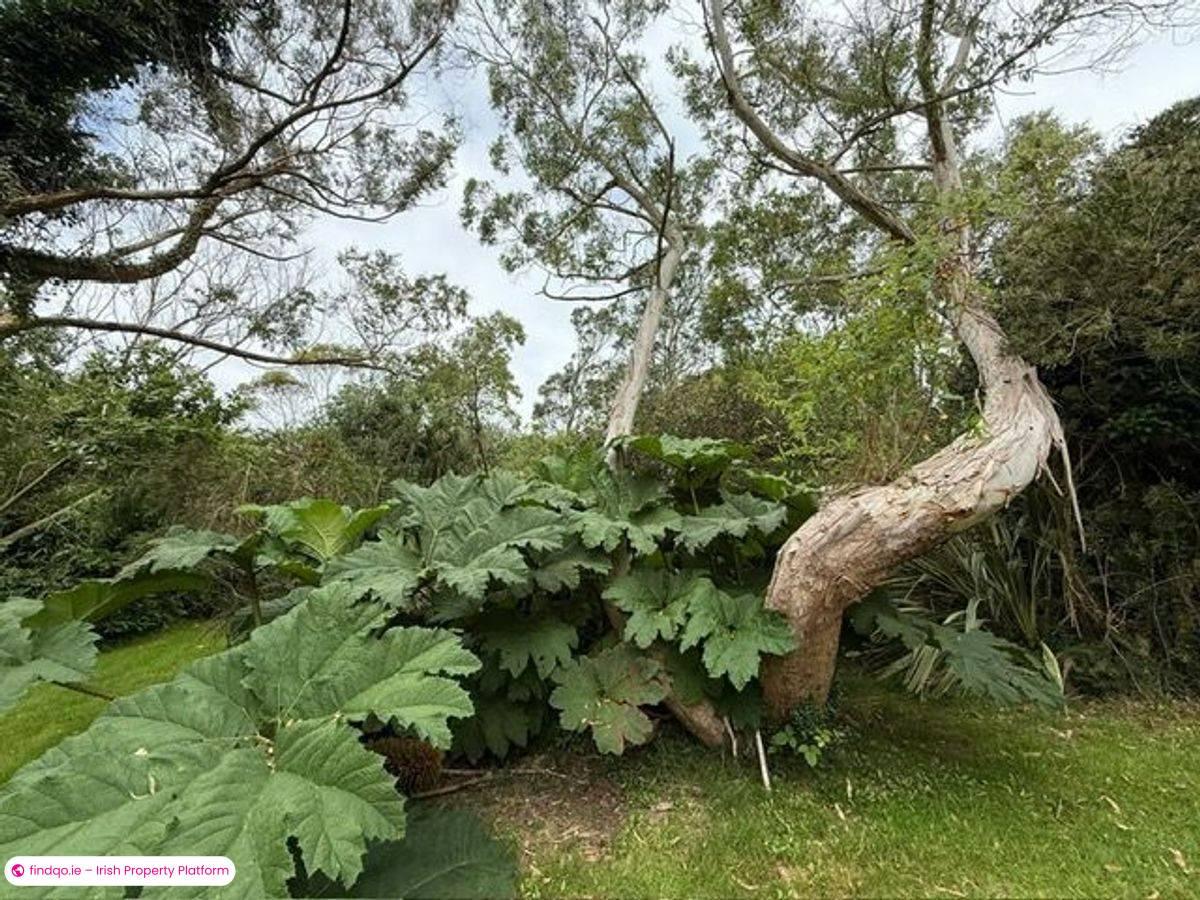 Detached house for Sale in Dunmanus, Cork