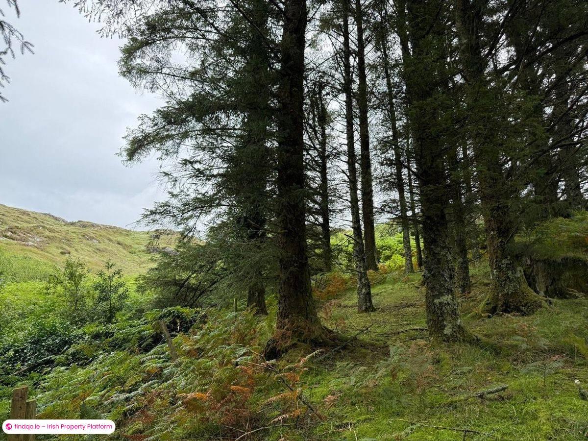 Detached house for Sale in Dunmanus, Cork