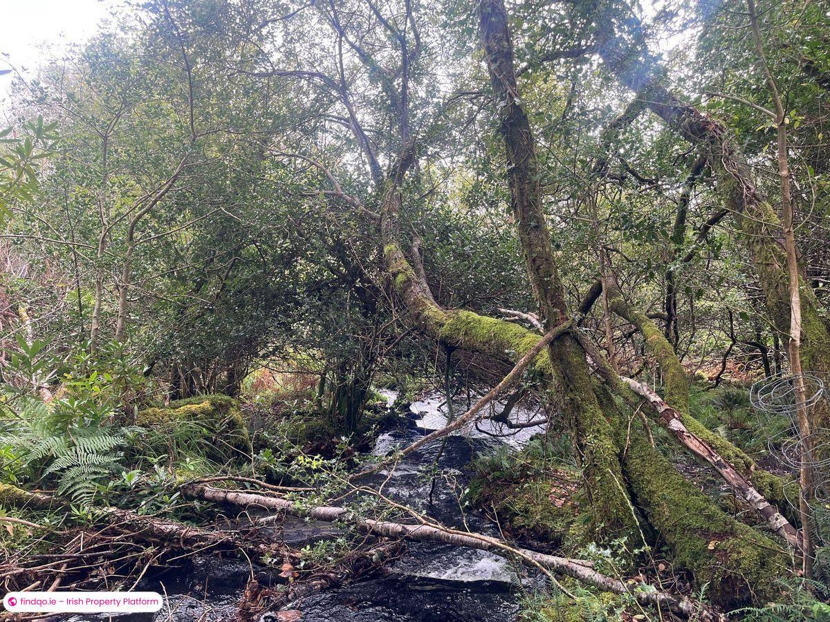 Detached house for Sale in Glengarriff, Cork