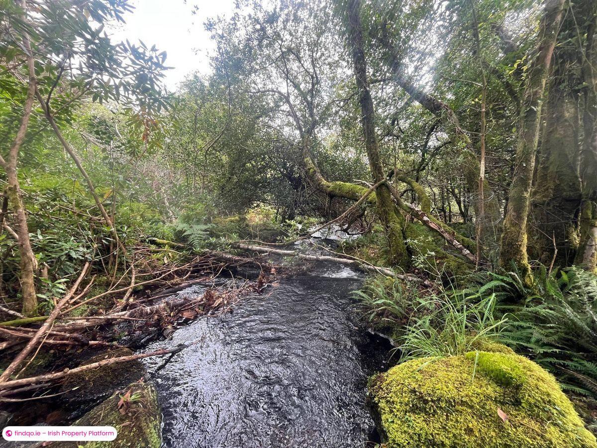 Detached house for Sale in Glengarriff, Cork