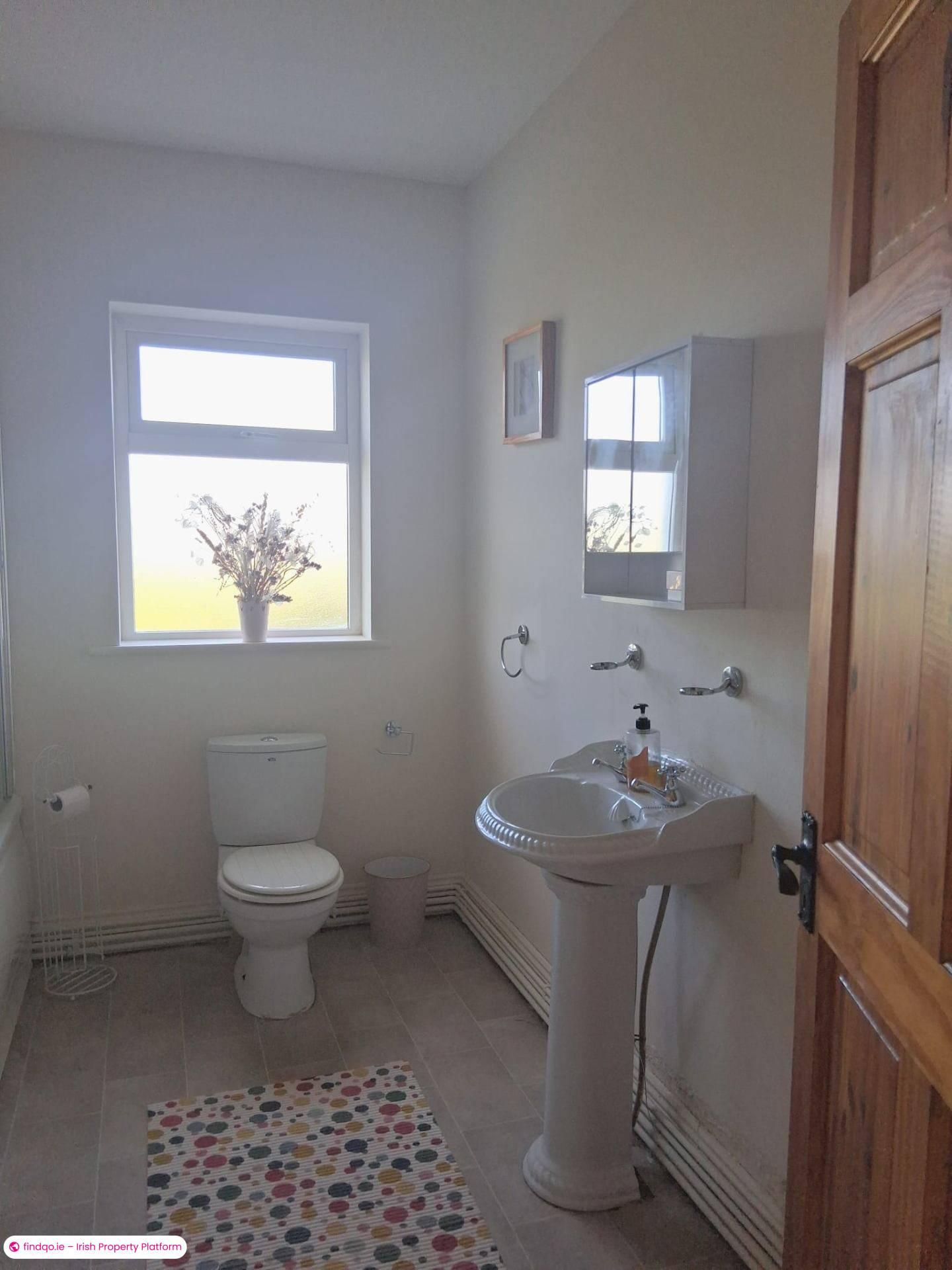 1 Bedroom Apartment for Rent in Newbawn, Wexford, Y35 NY66