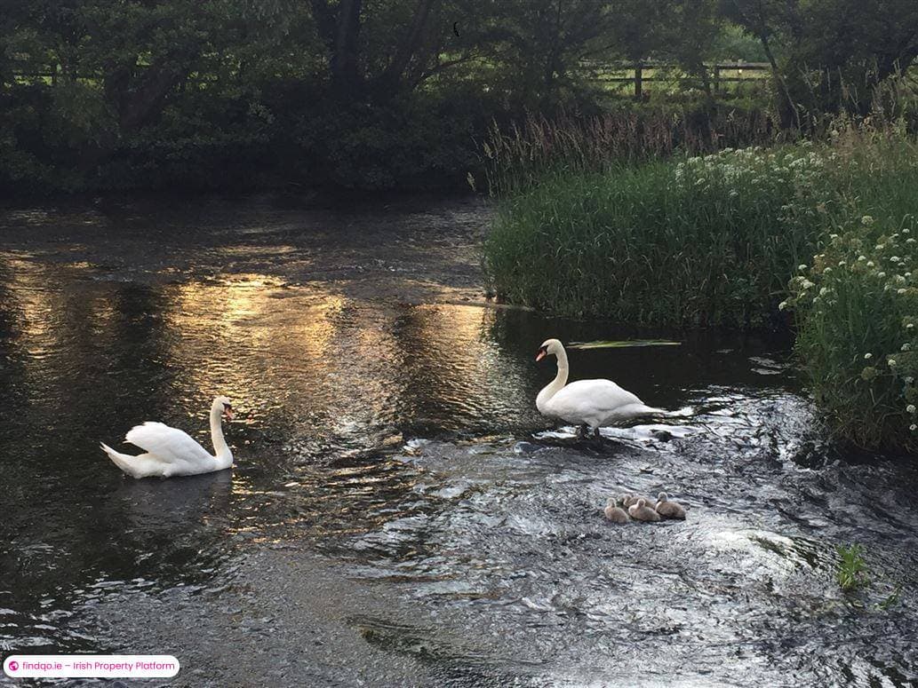 Duplex for Sale in Kilcullen, Kildare