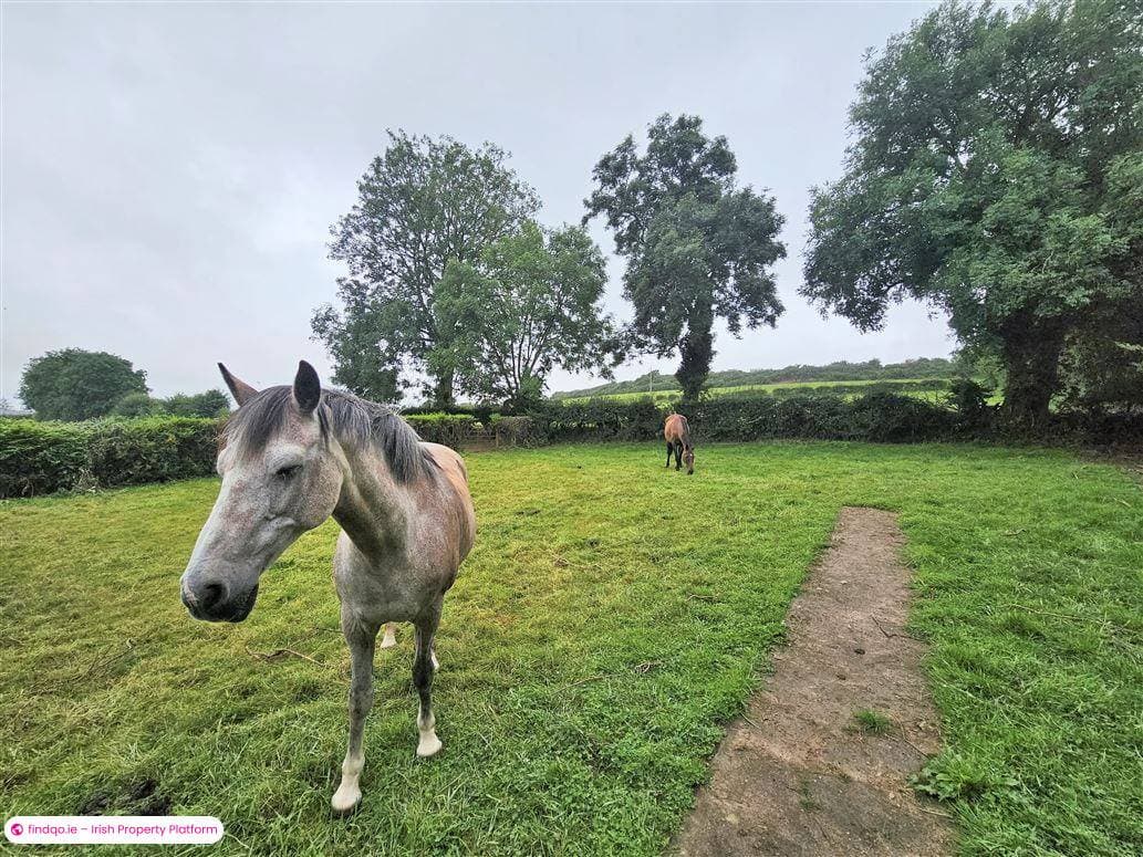 House for Sale in Kilcullen, Kildare