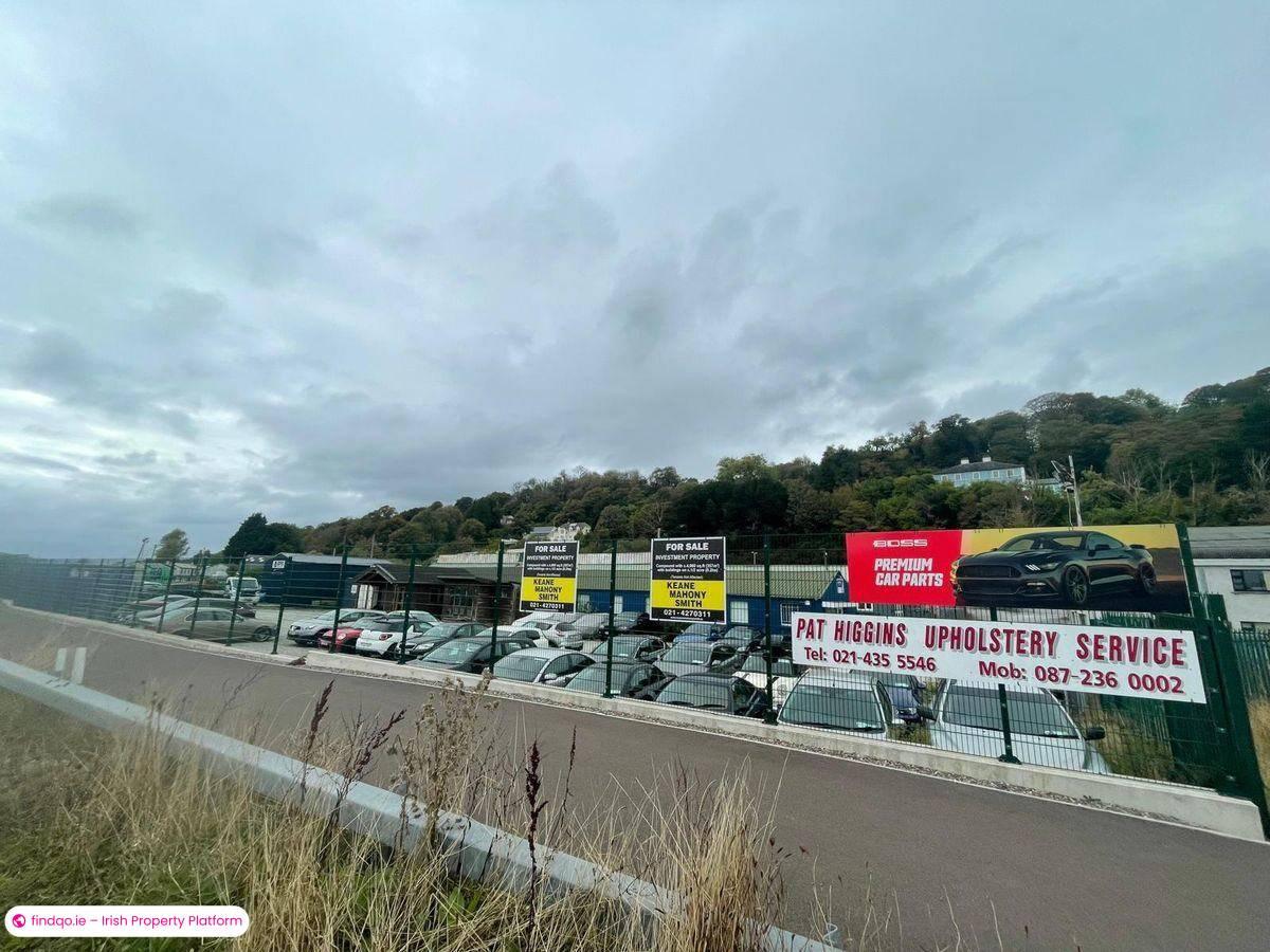 Industrial Site for Sale in Little Island, Cork