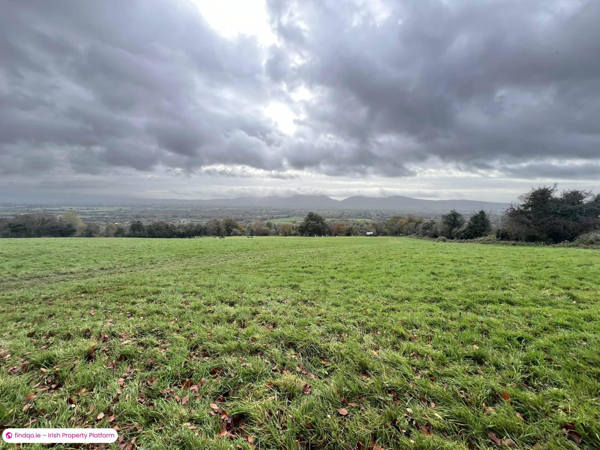 Agricultural Land for Sale in Cahir, Tipperary