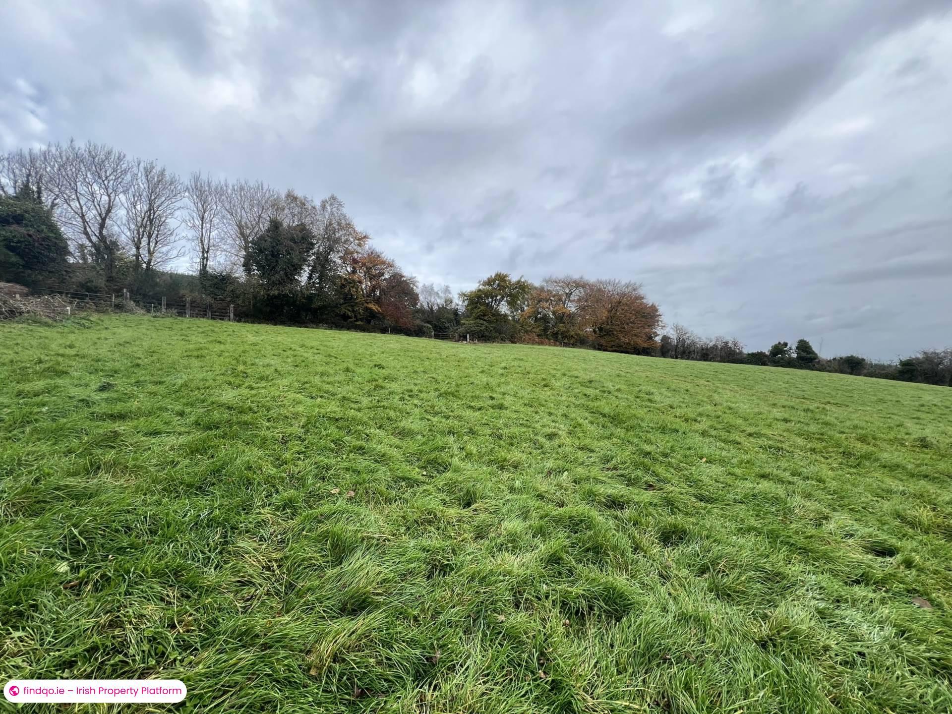 Agricultural Land for Sale in Cahir, Tipperary
