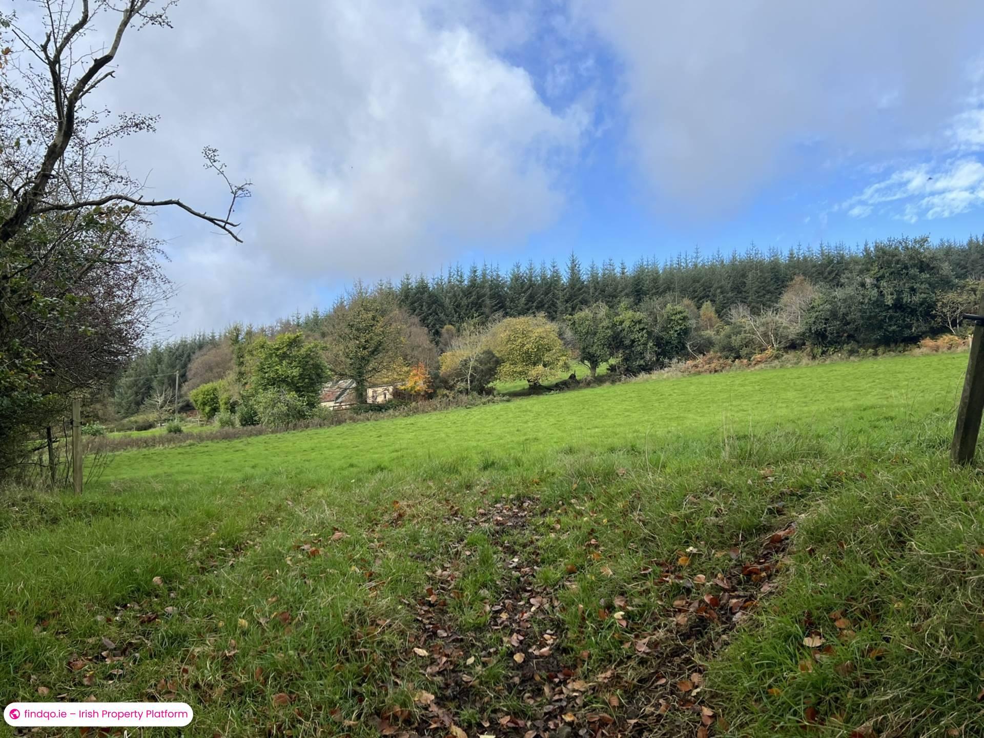 Agricultural Land for Sale in Cahir, Tipperary