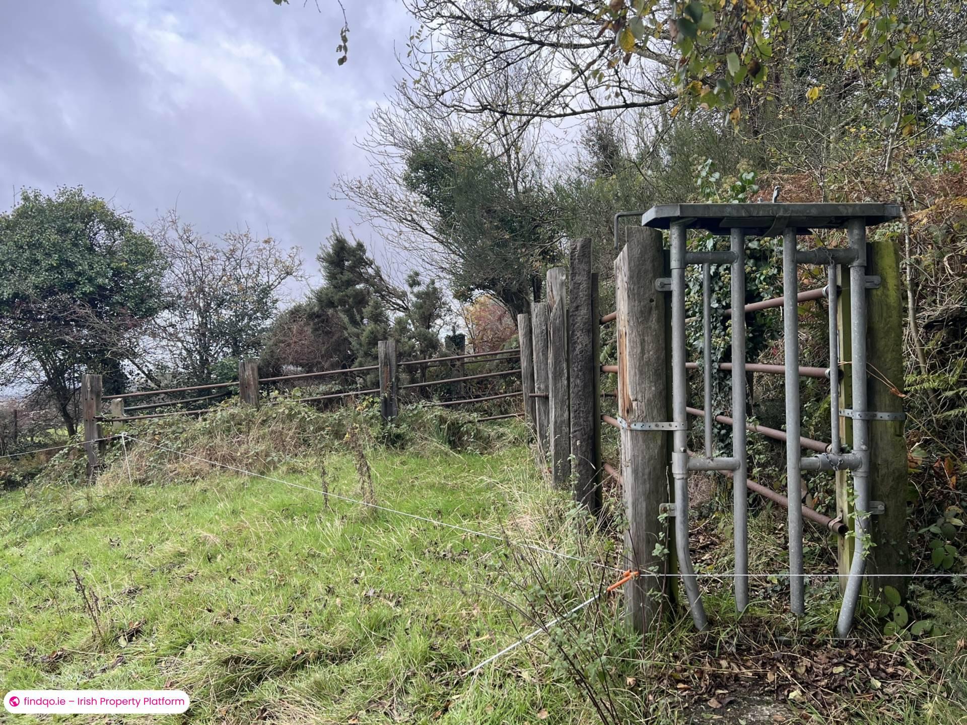 Agricultural Land for Sale in Cahir, Tipperary