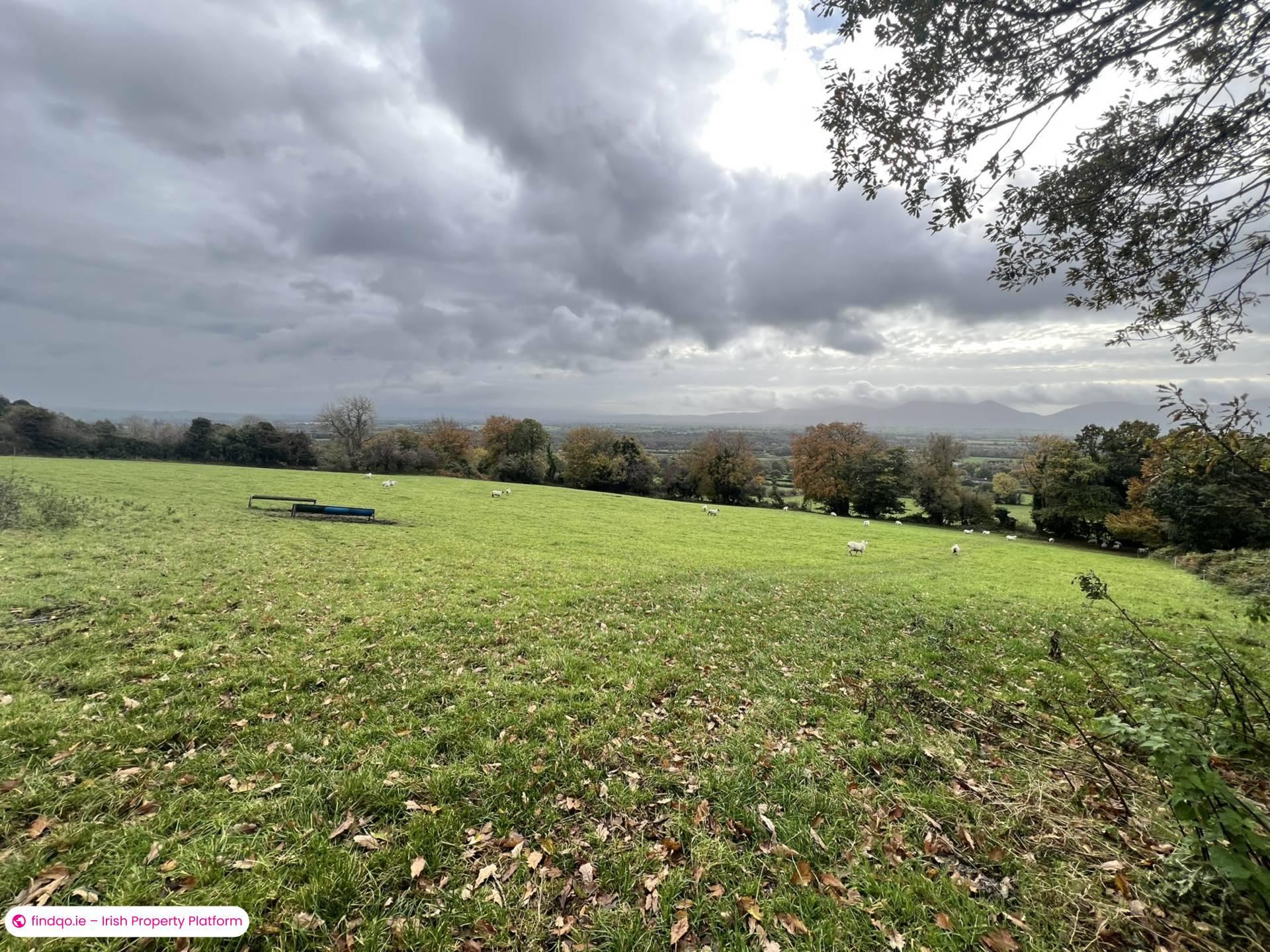 Agricultural Land for Sale in Cahir, Tipperary
