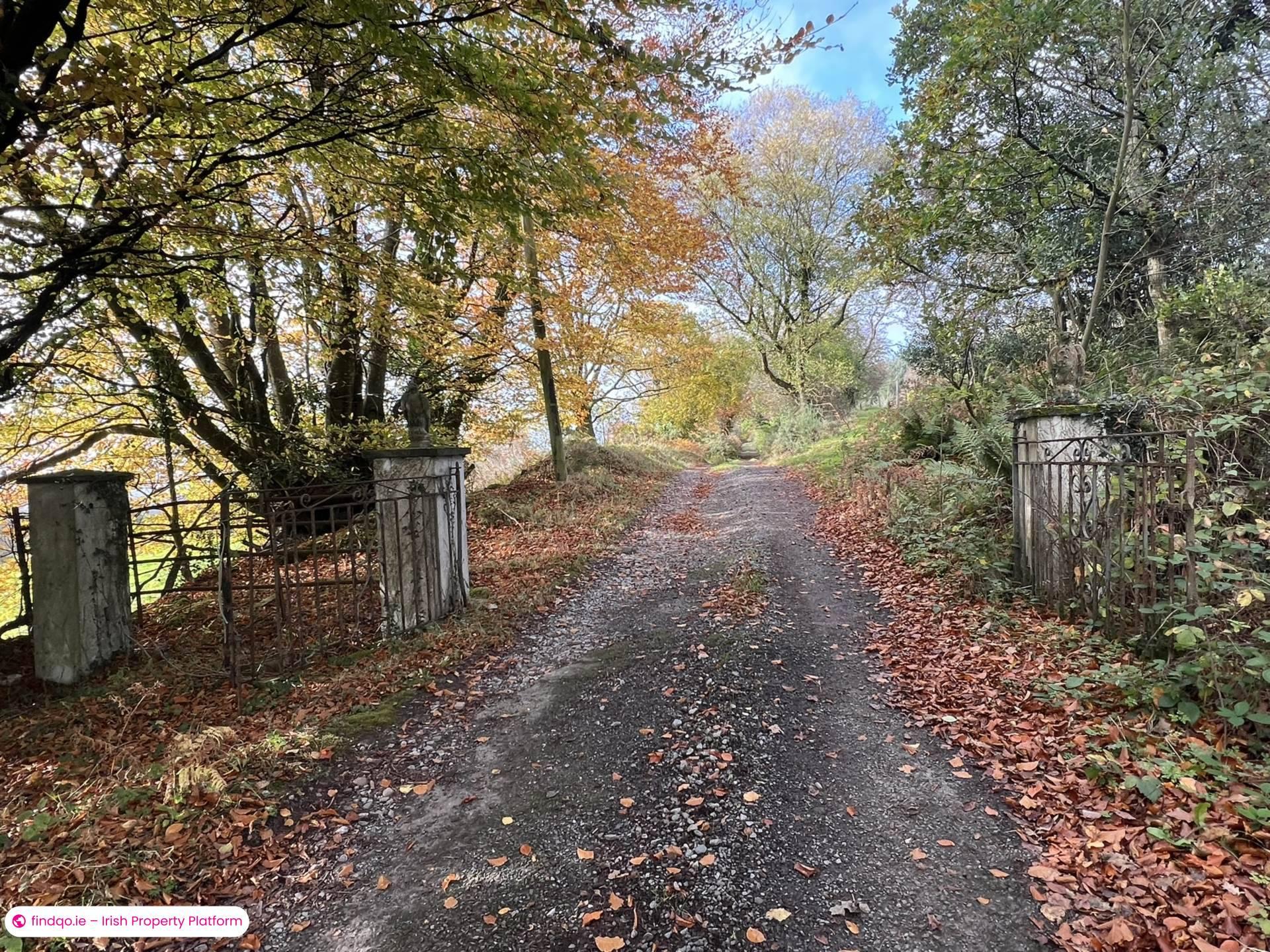 Agricultural Land for Sale in Cahir, Tipperary