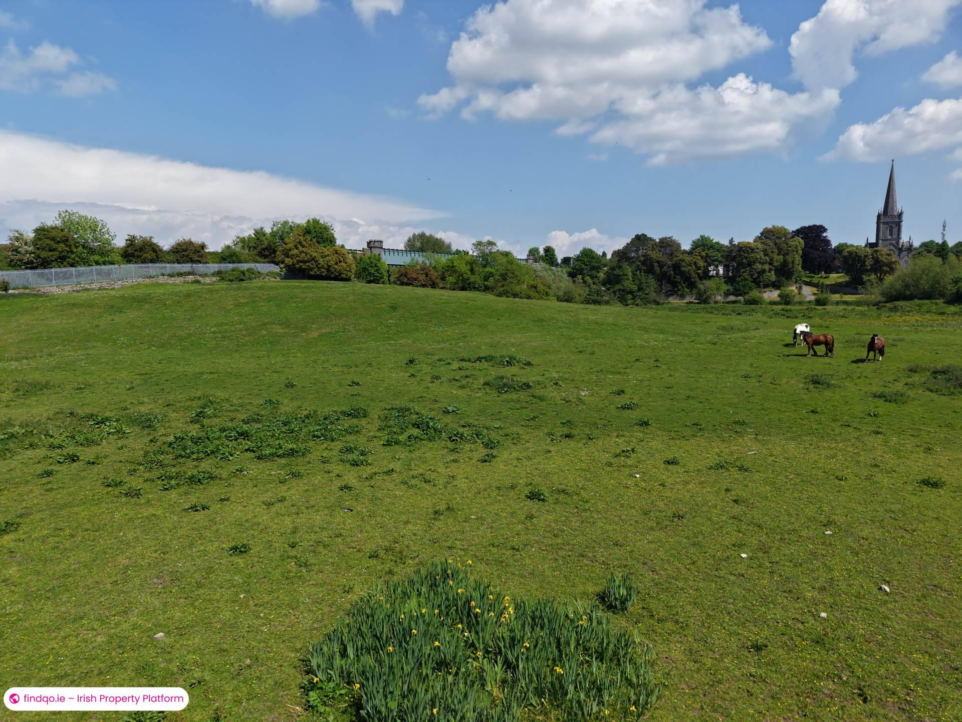 Development Land for Sale in Cahir, Tipperary