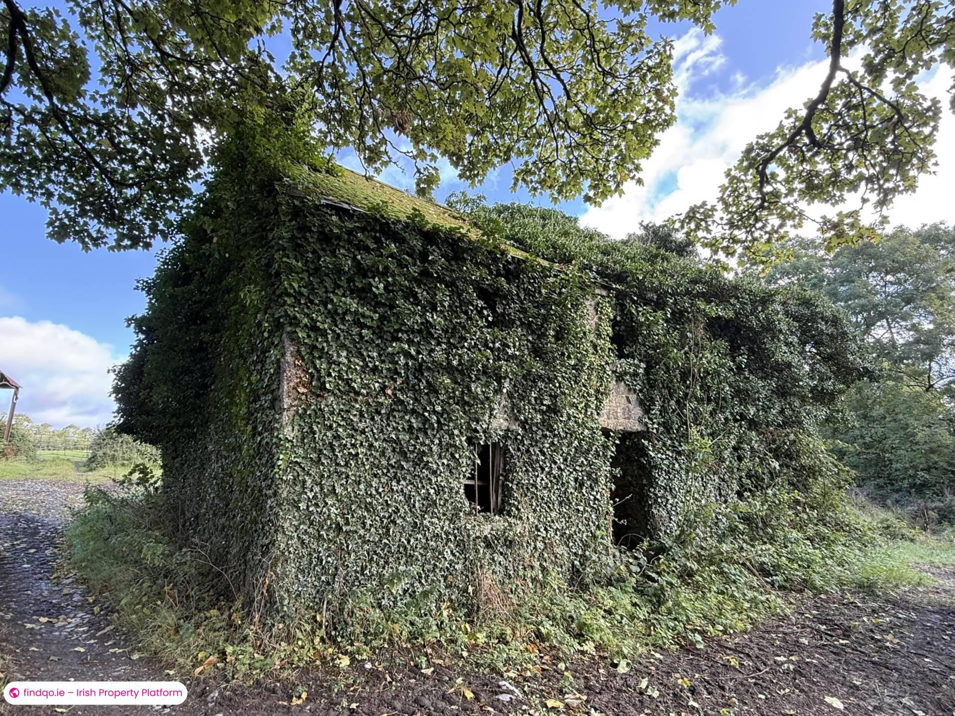 Agricultural Land for Sale in Drangan, Tipperary