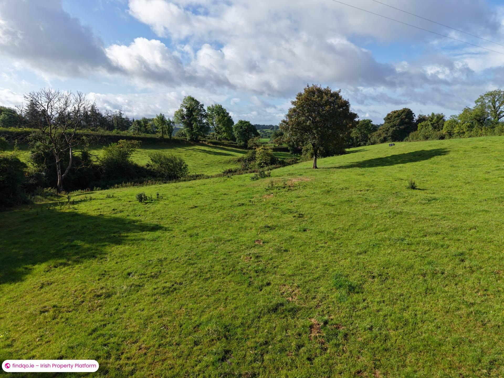 Agricultural Land for Sale in Drangan, Tipperary