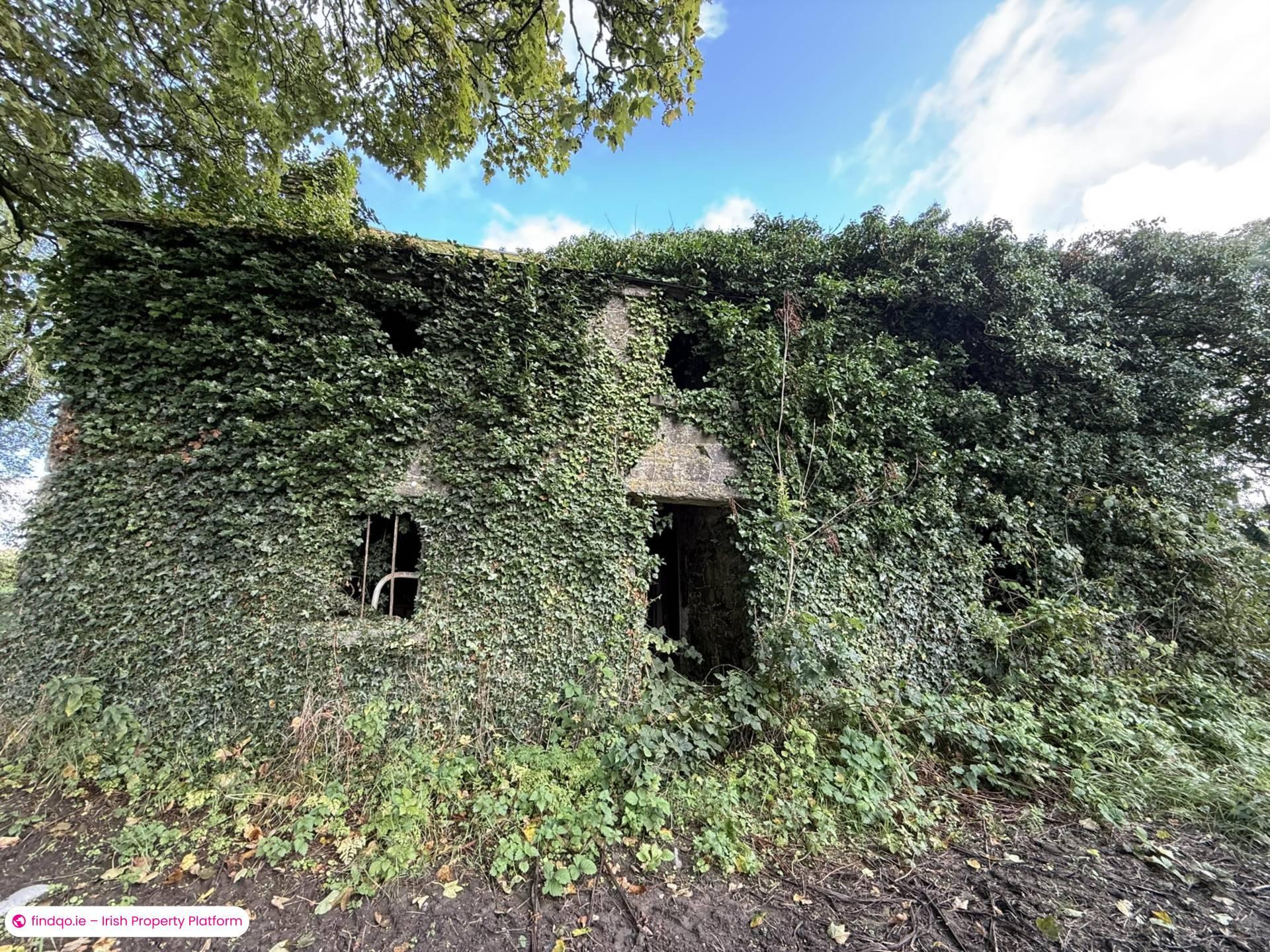 Agricultural Land for Sale in Drangan, Tipperary