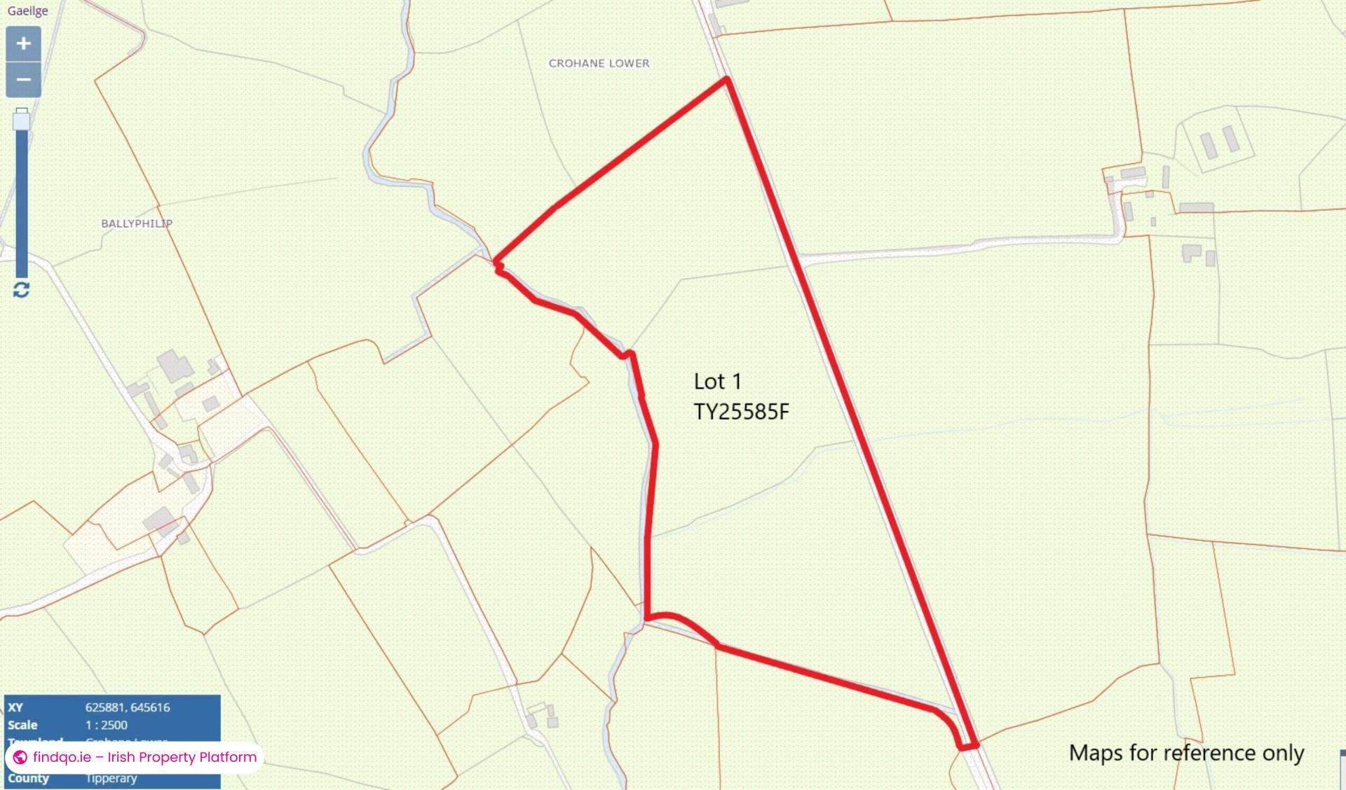 Agricultural Land for Sale in Killenaule, Tipperary