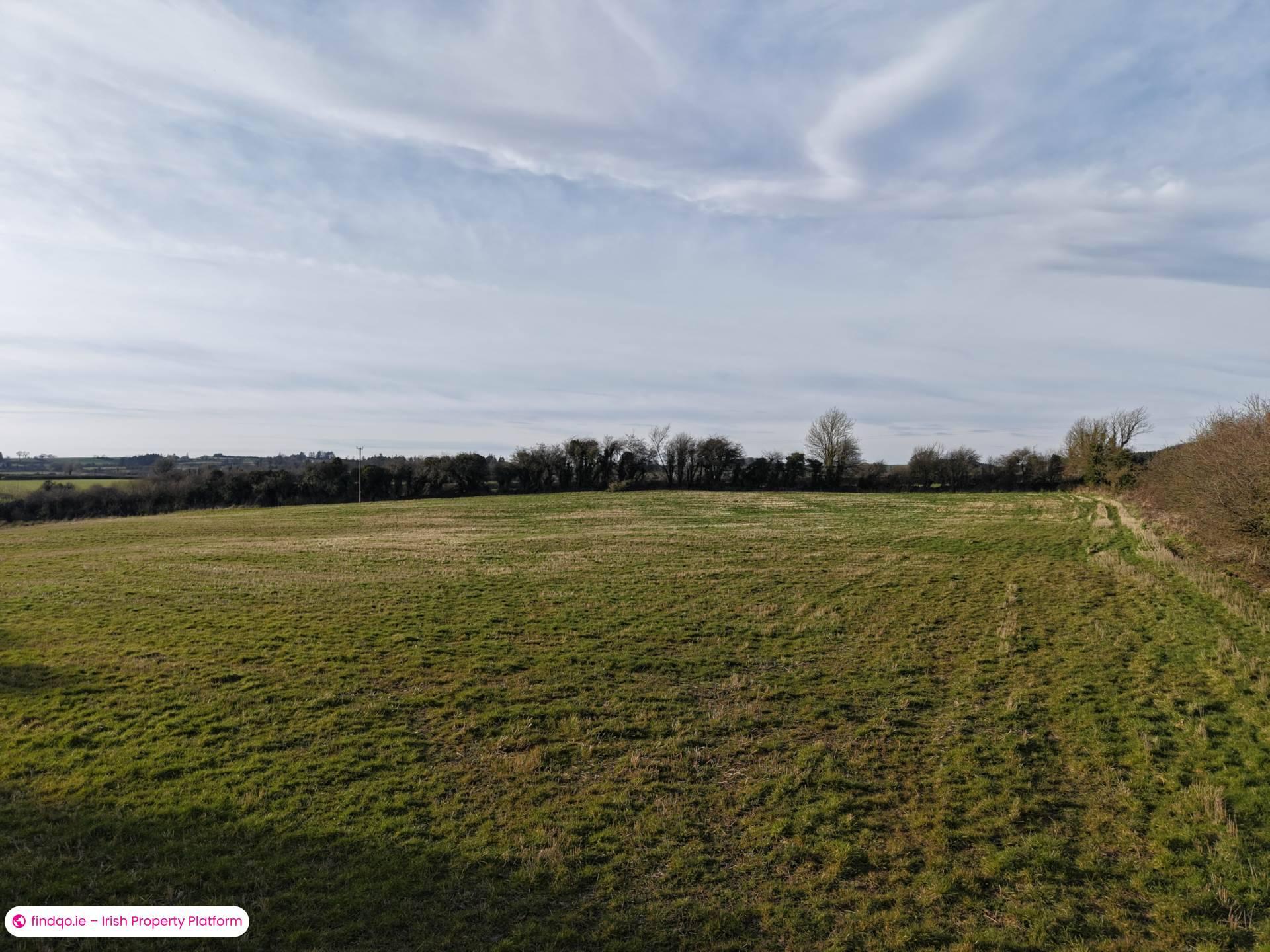 Agricultural Land for Sale in Killenaule, Tipperary