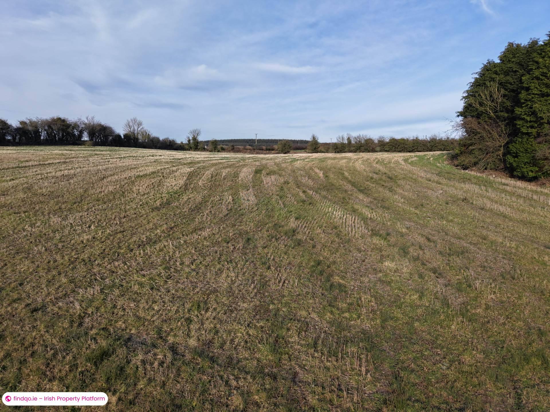 Agricultural Land for Sale in Killenaule, Tipperary
