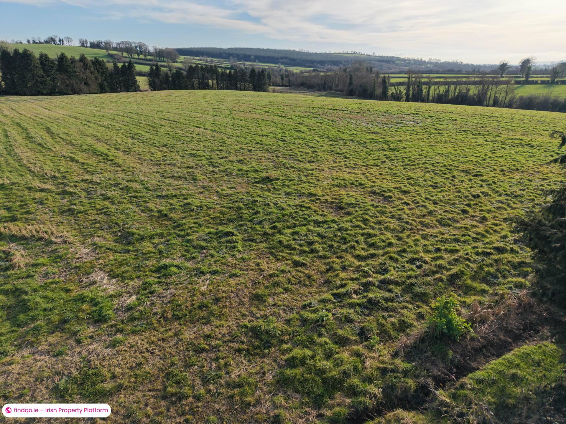 Agricultural Land for Sale in Killenaule, Tipperary