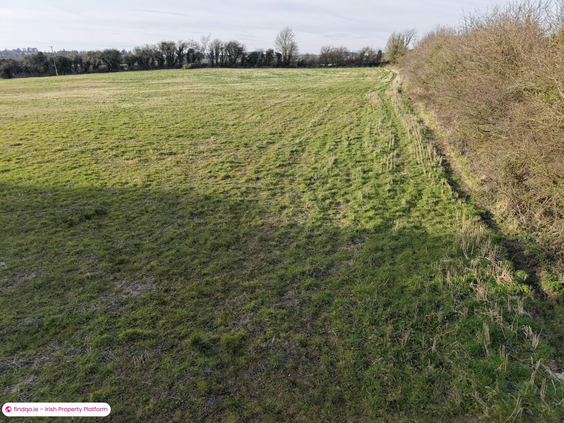 Agricultural Land for Sale in Killenaule, Tipperary