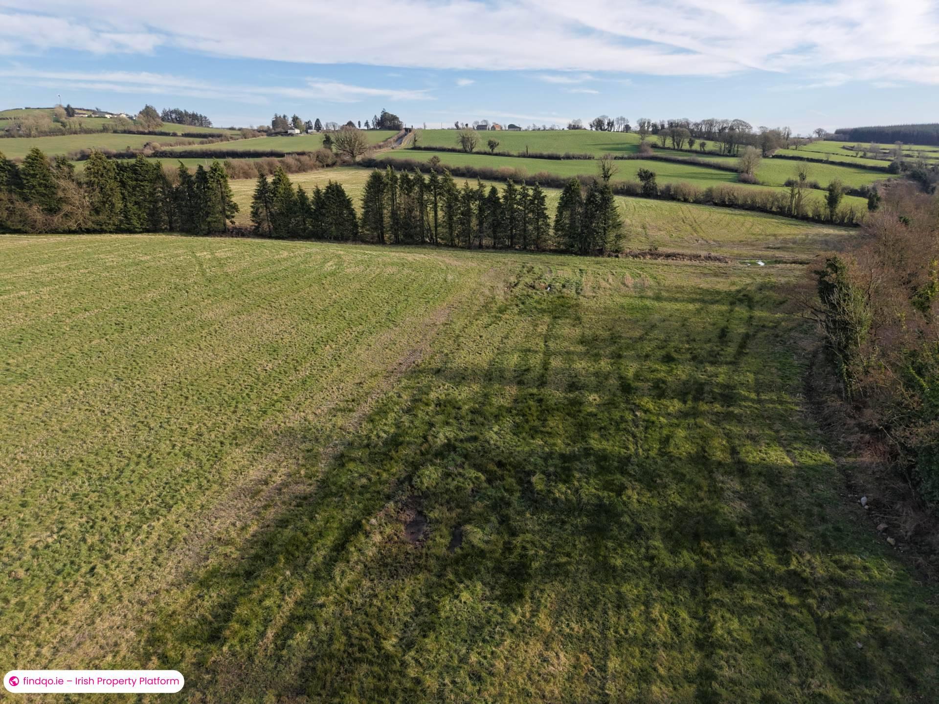 Agricultural Land for Sale in Killenaule, Tipperary