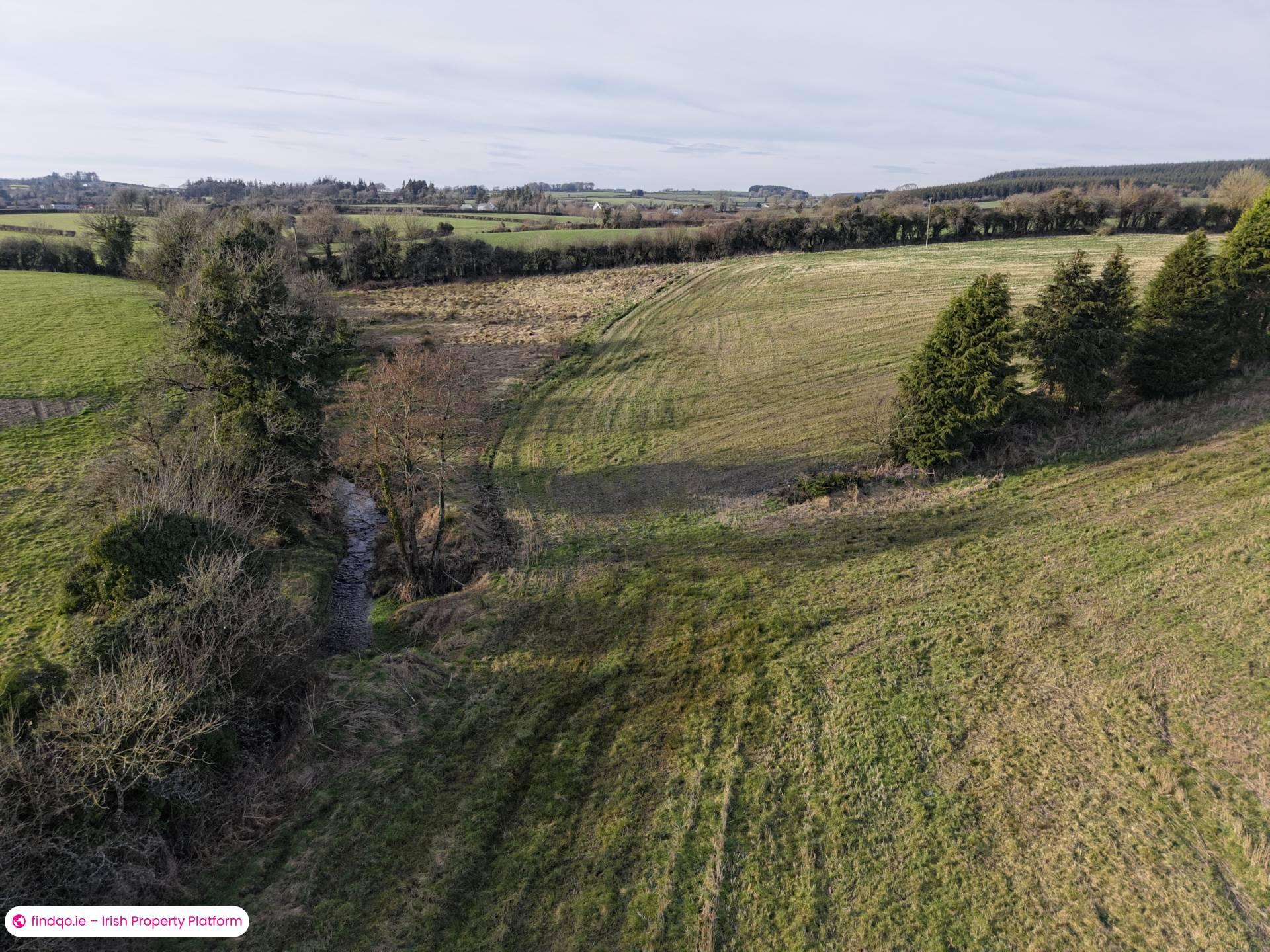 Agricultural Land for Sale in Killenaule, Tipperary