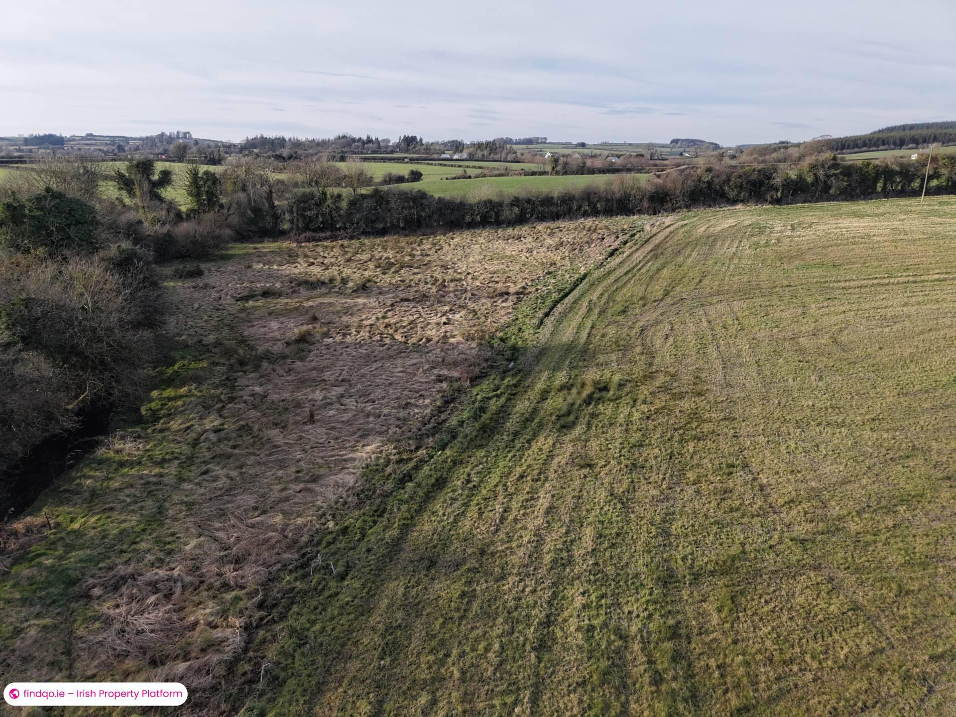 Agricultural Land for Sale in Killenaule, Tipperary