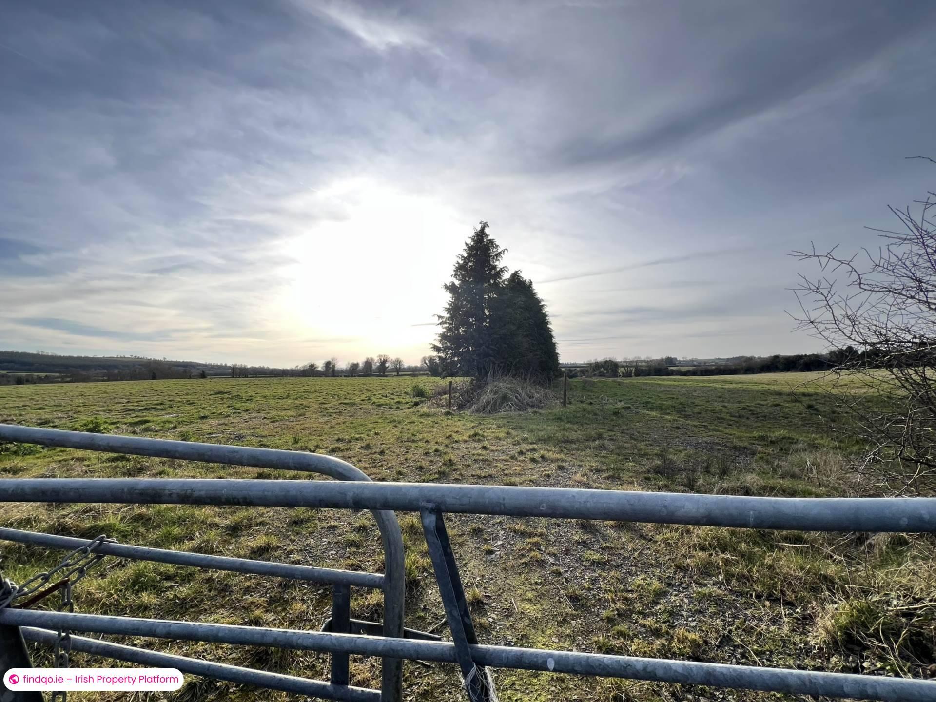 Agricultural Land for Sale in Killenaule, Tipperary