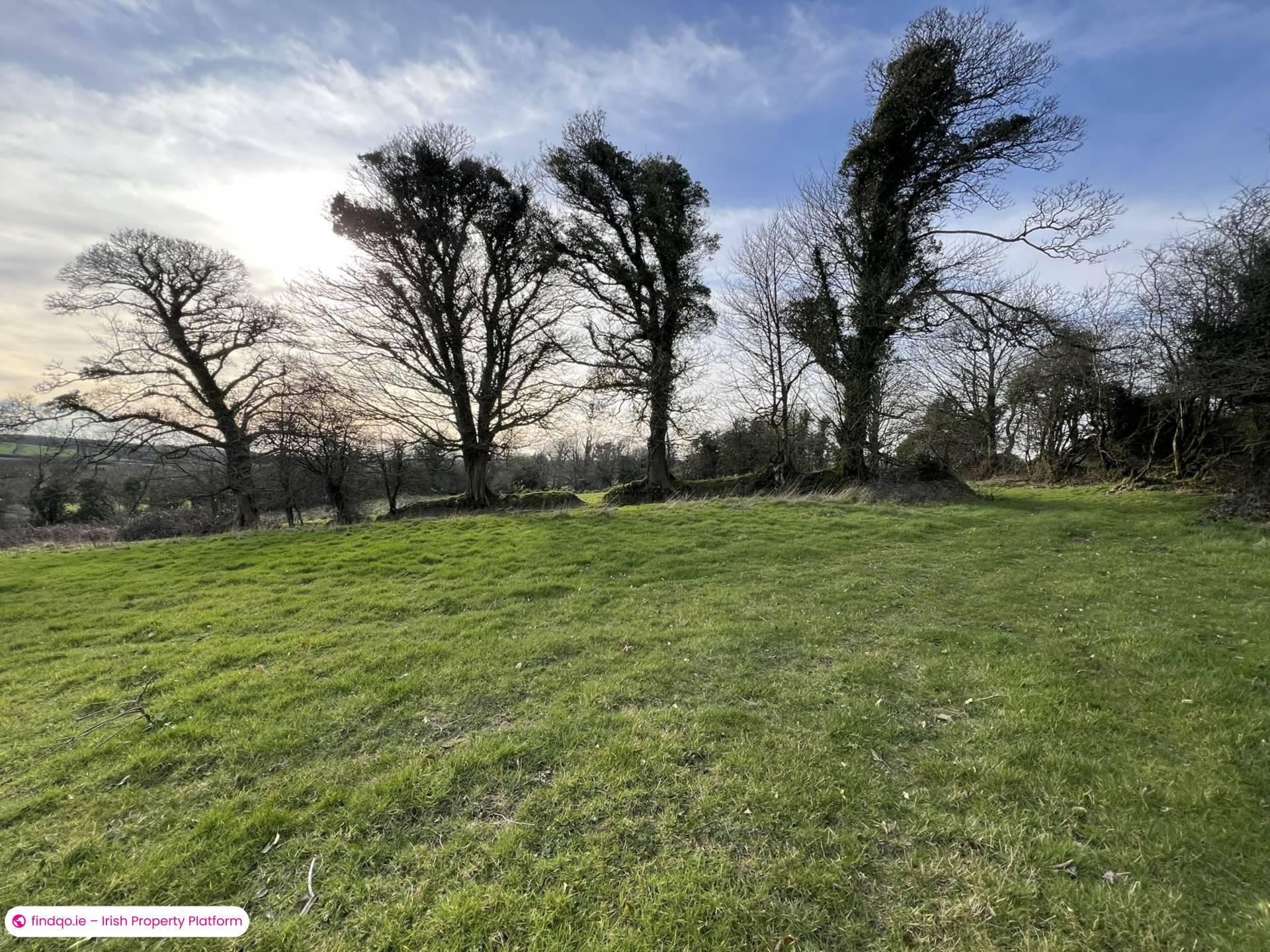 Agricultural Land for Sale in Clonmel, Tipperary